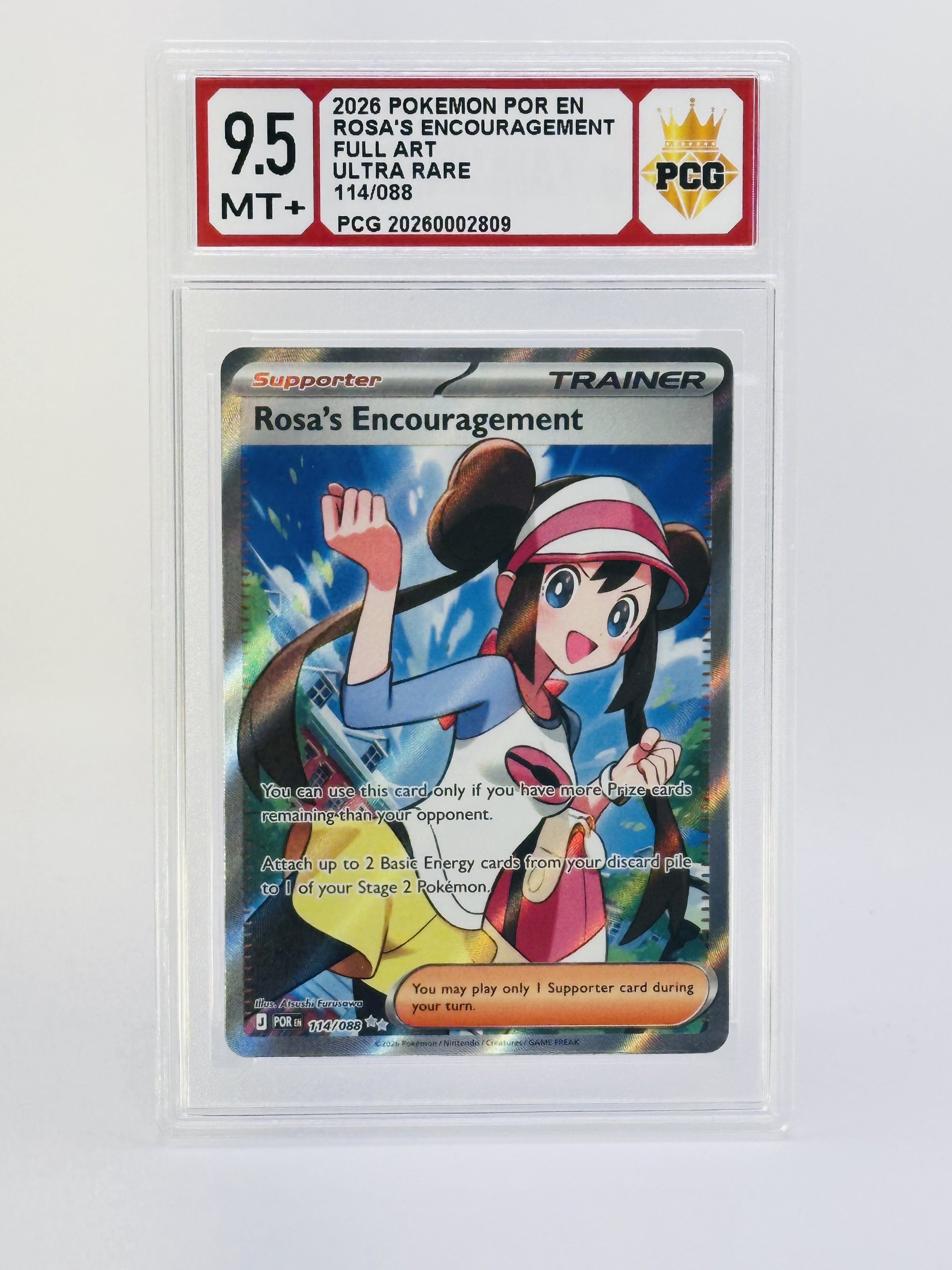 #20260002809 2026 ROSA'S ENCOURAGEMENT 9.5 MT+