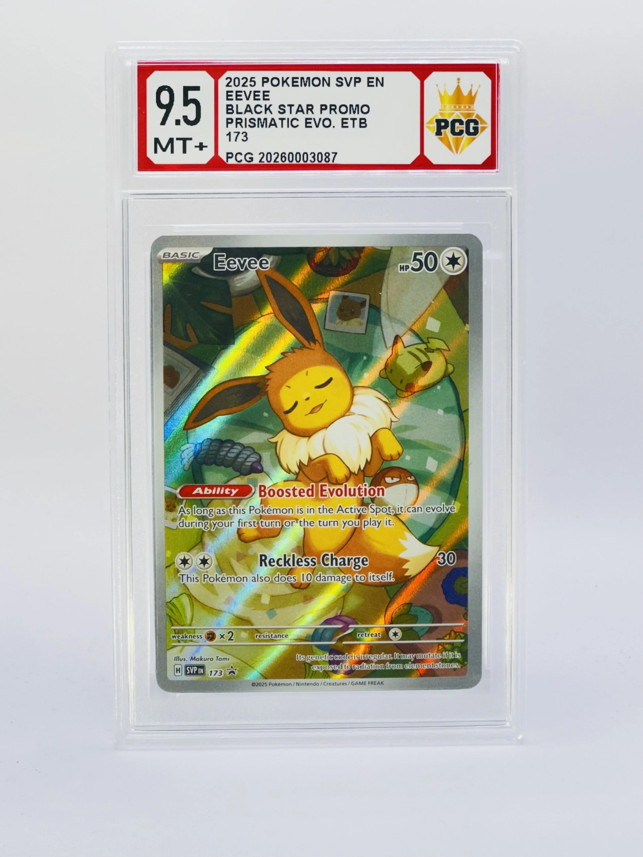 #20260003087 2025 EEVEE 9.5 MT+