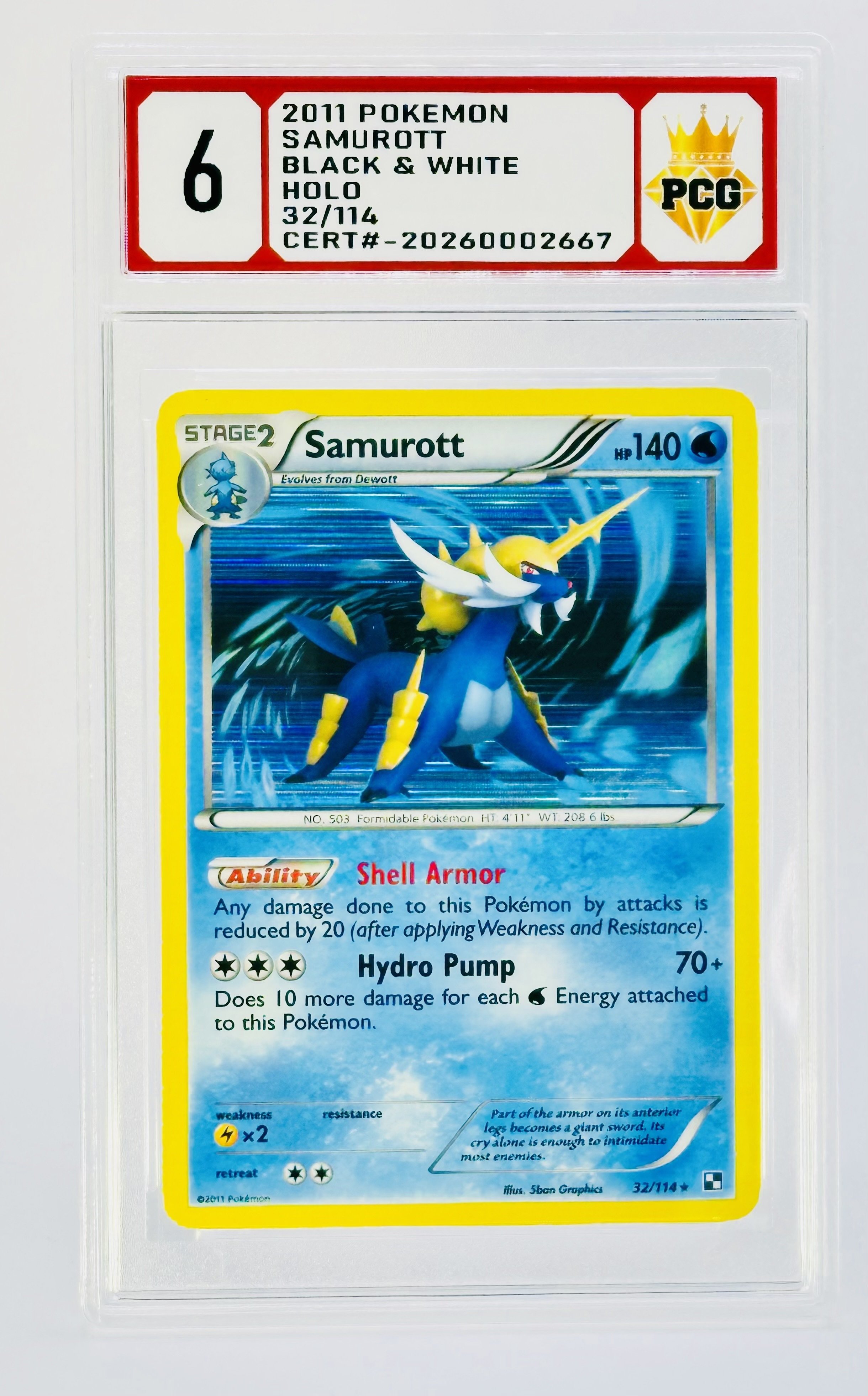 #20260002667 2011 SAMUROTT 6