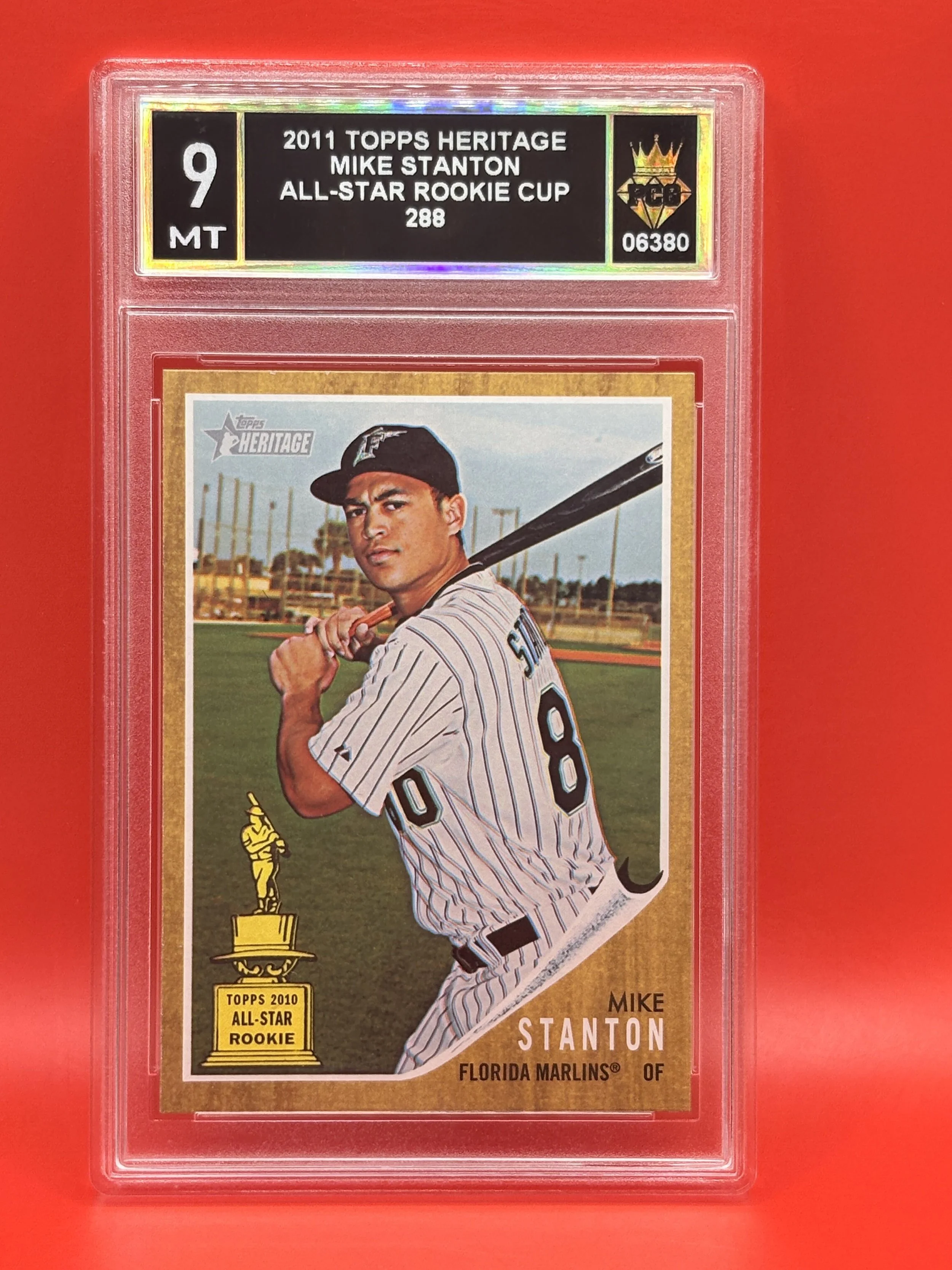 #06380 2011 MIKE STANTON 9 MT