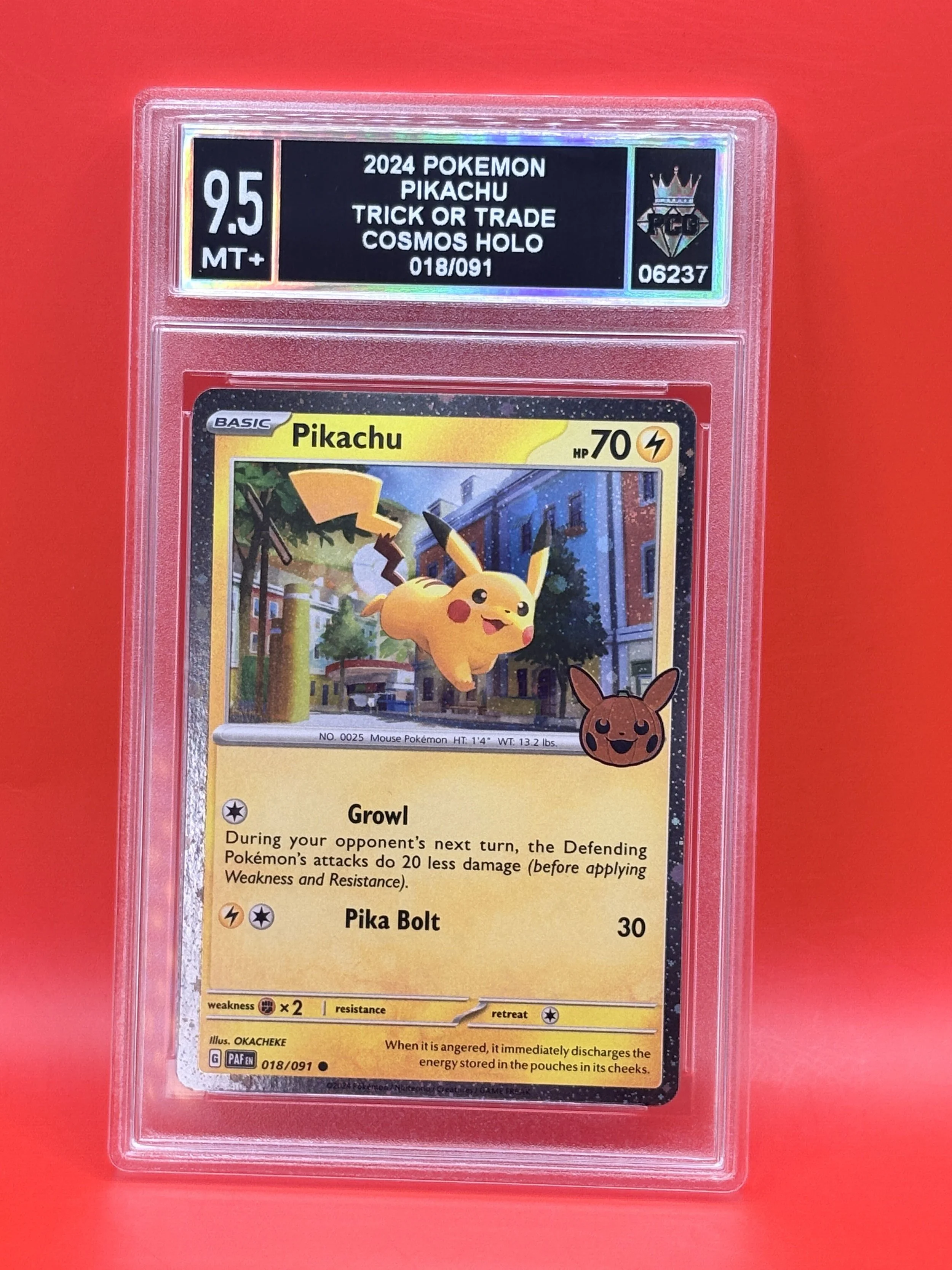 #06237 2024 PIKACHU 9.5 MT+
