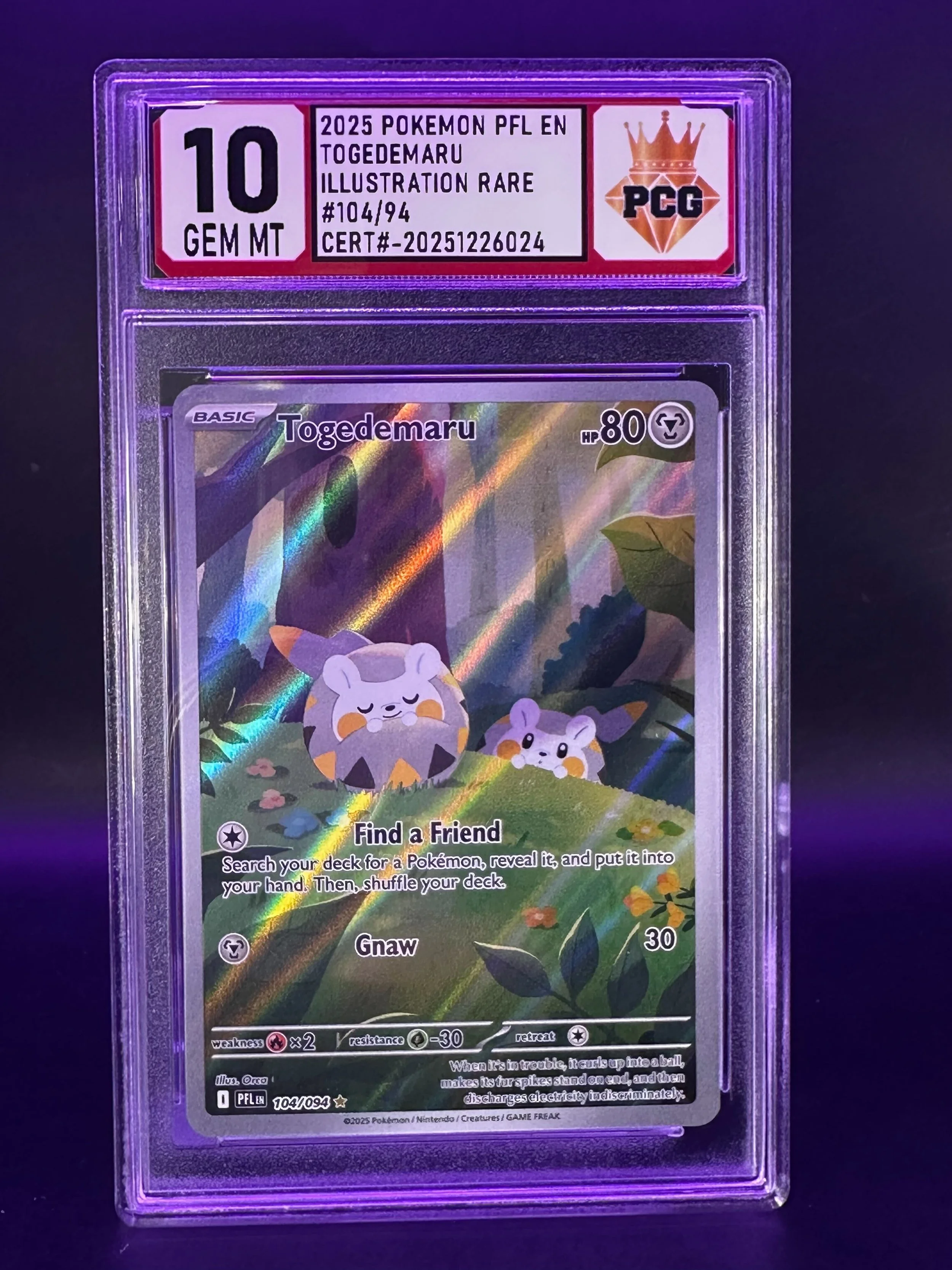 #20251226024 2025 POKEMON PFL EN TOGEDMARU 10 GEM MT