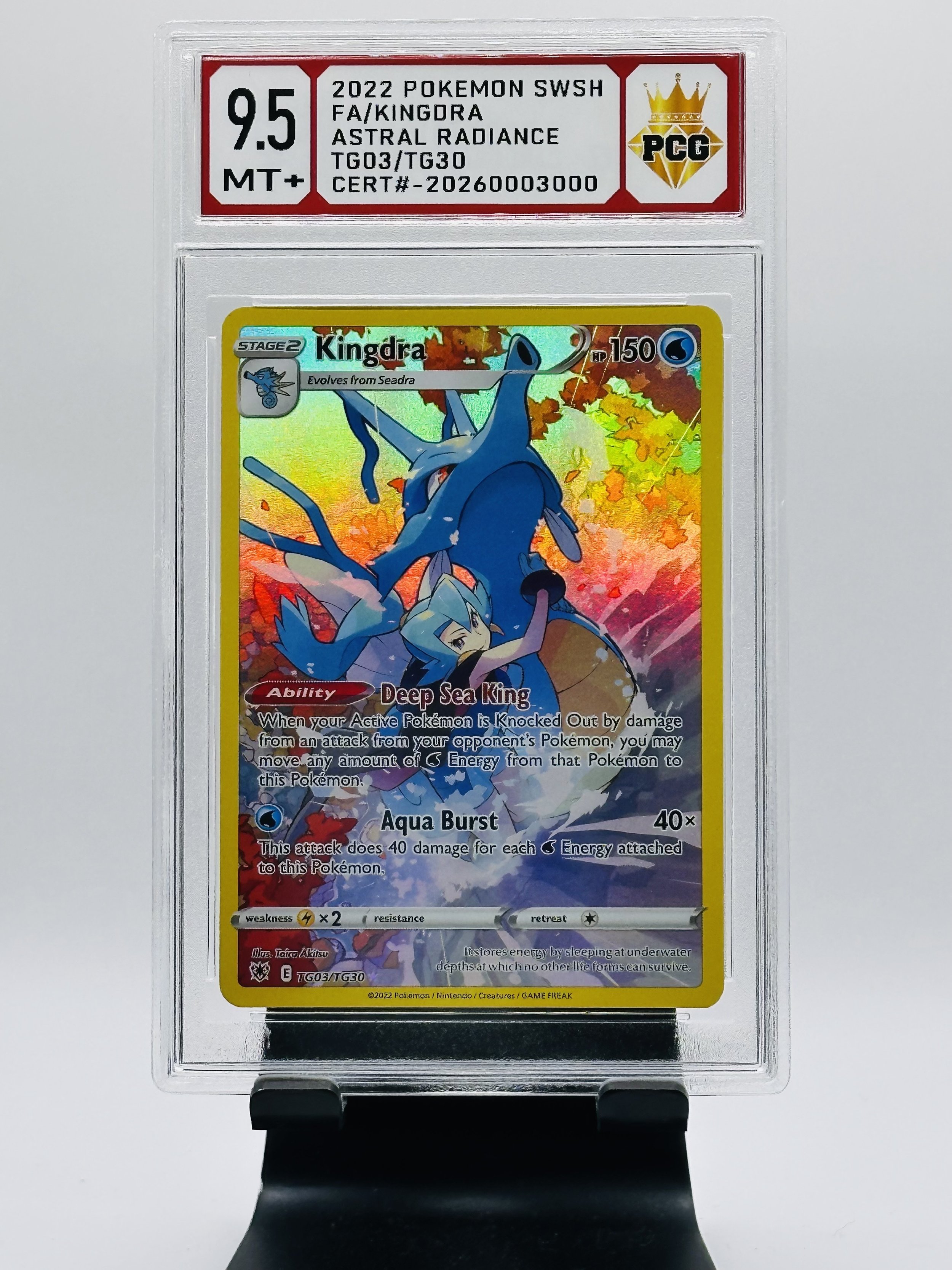 #20260003000 2022 FA/KINGORA ASTRAL RADIANCE 9.5 MT+