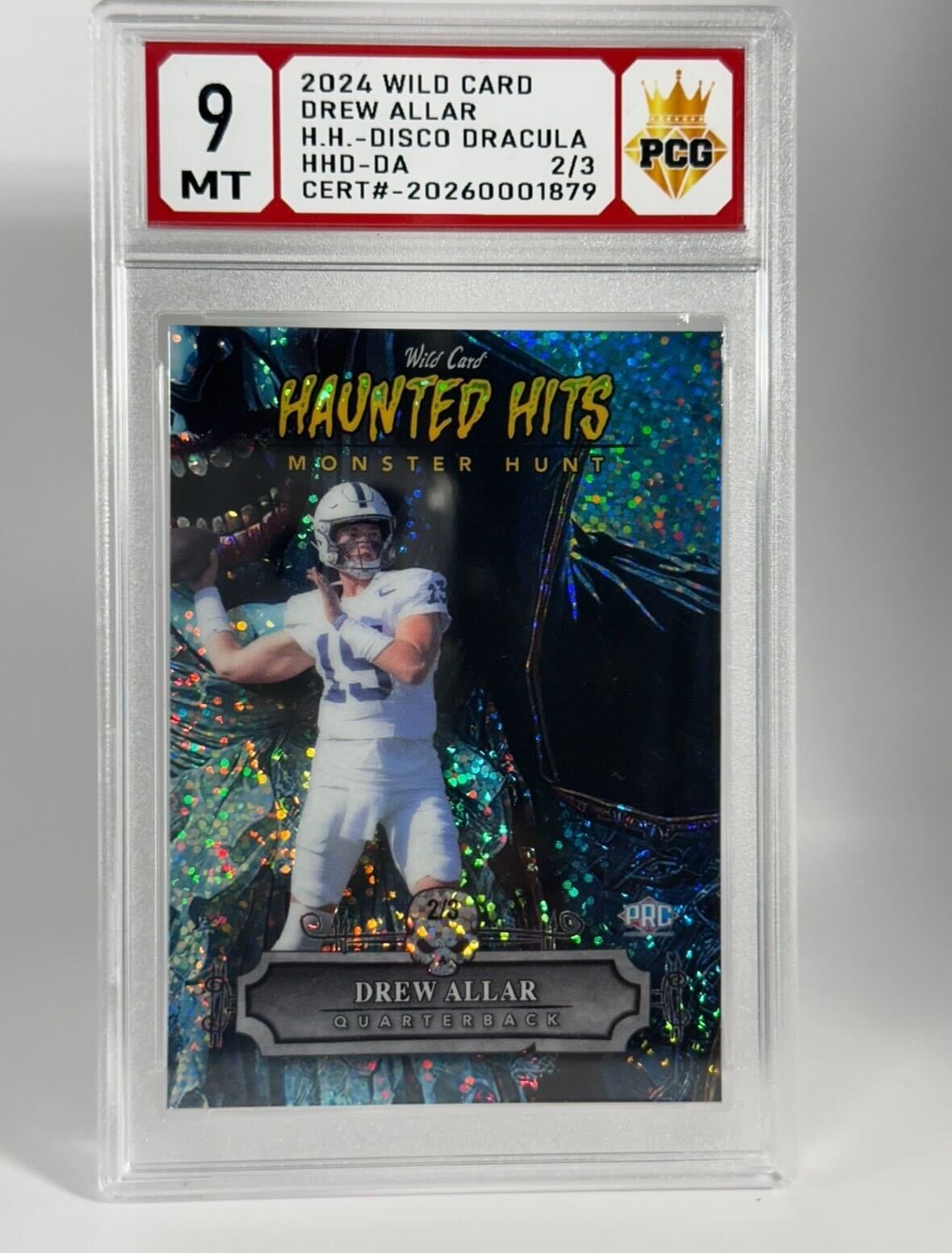 #20260001879 2024 DREW ALLAR 9 MT