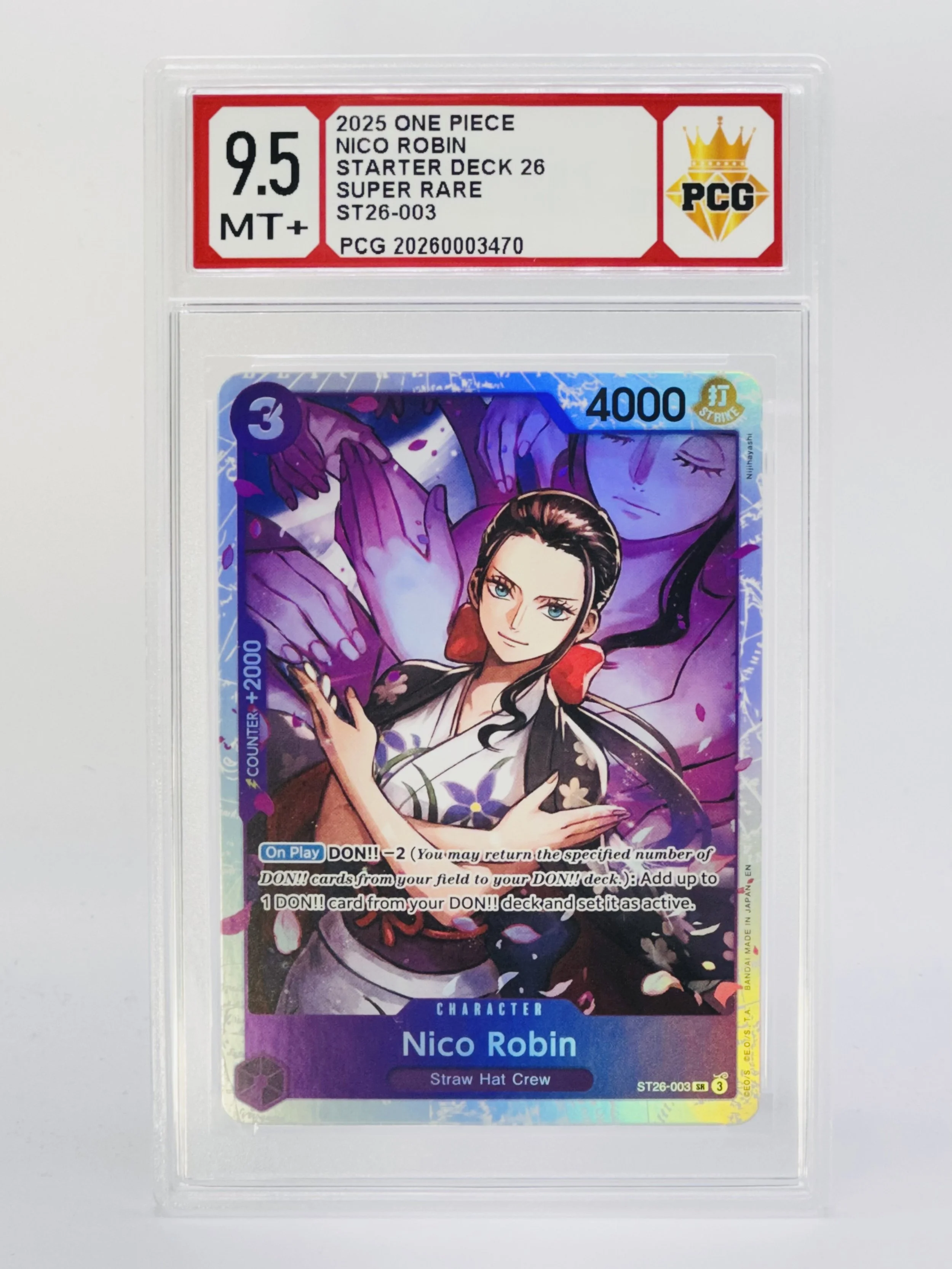 #20260003470 2025 NICO ROBIN 9.5 MT+