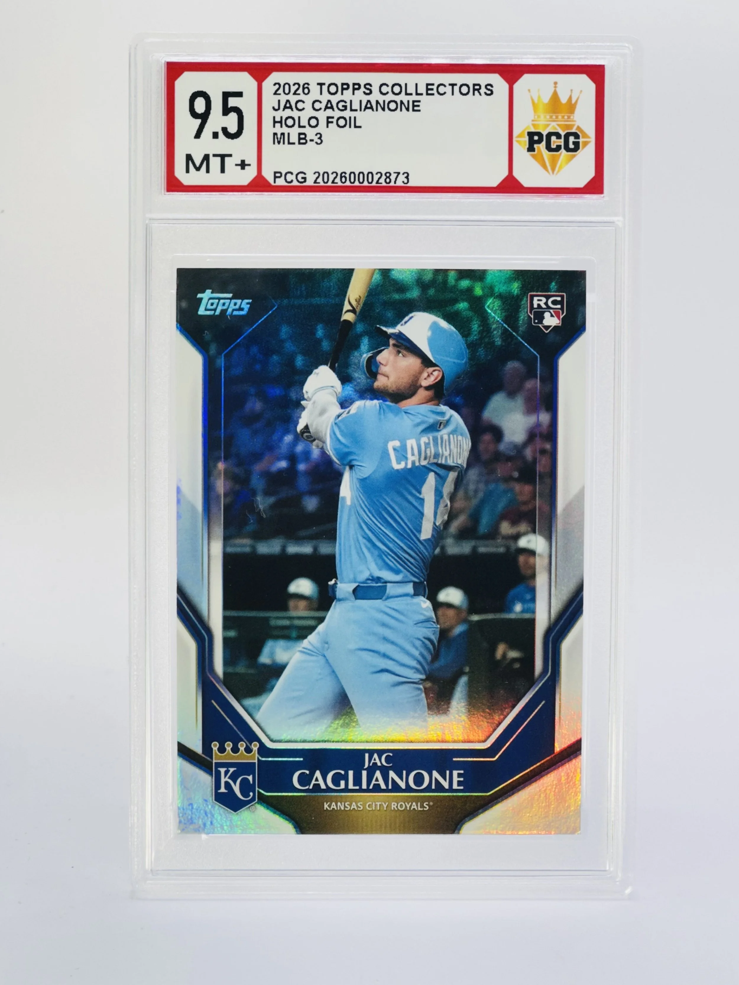 #20260002873 2026 JAC CAGLIANONE 9.5 MT+