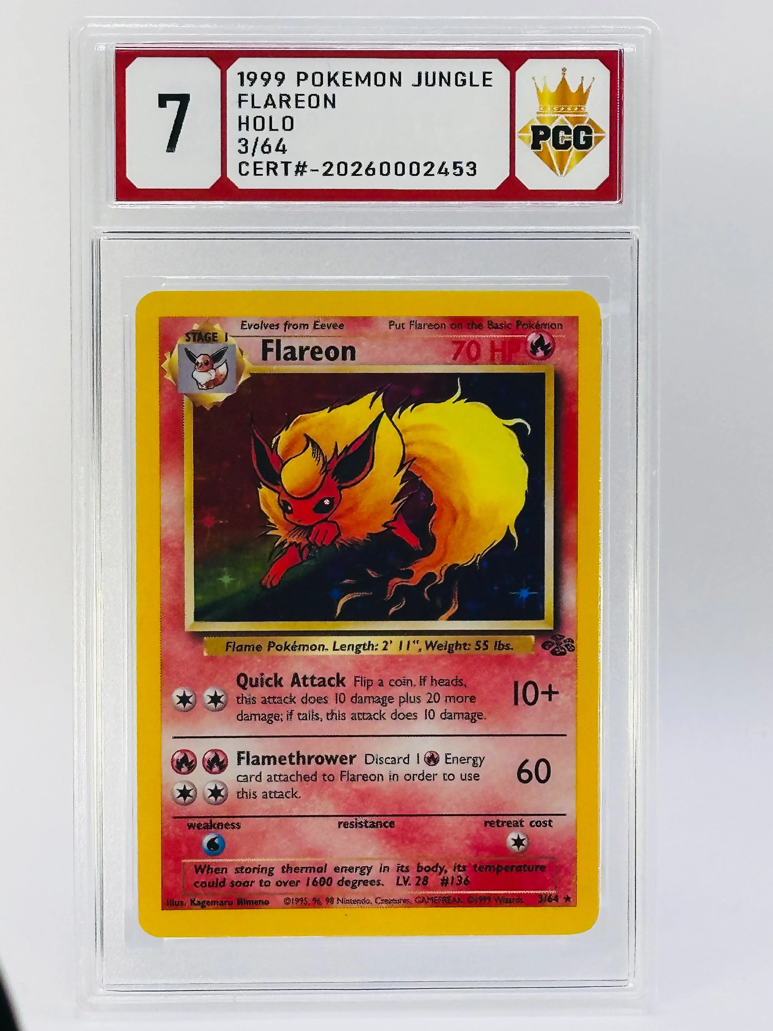 #20260002453 1999 FALREON 7