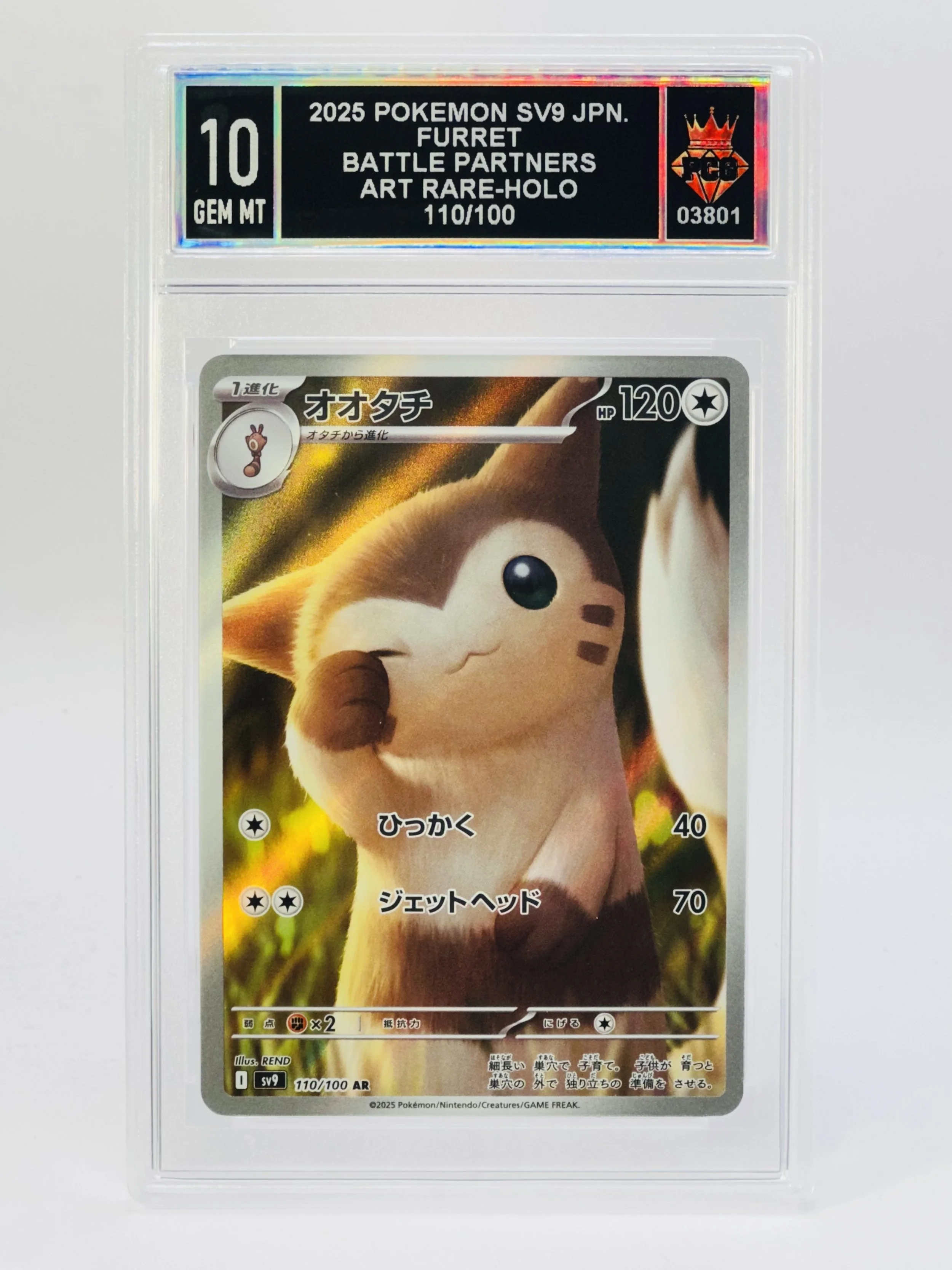 #20260003801 2025 FURRET 10 GEM MT