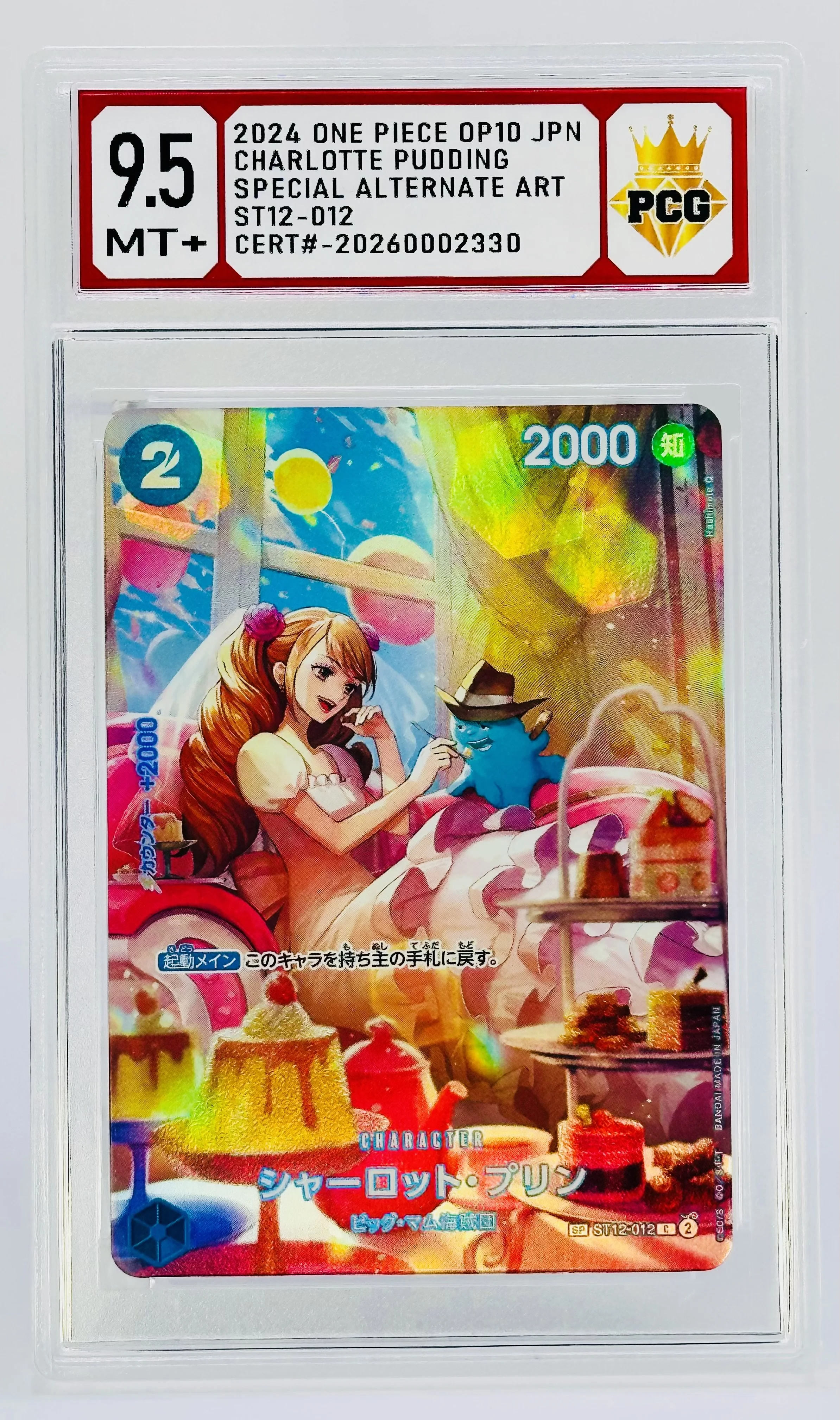 #20260002330 2024 CHARLOTTE PUDDING 9.5 MT