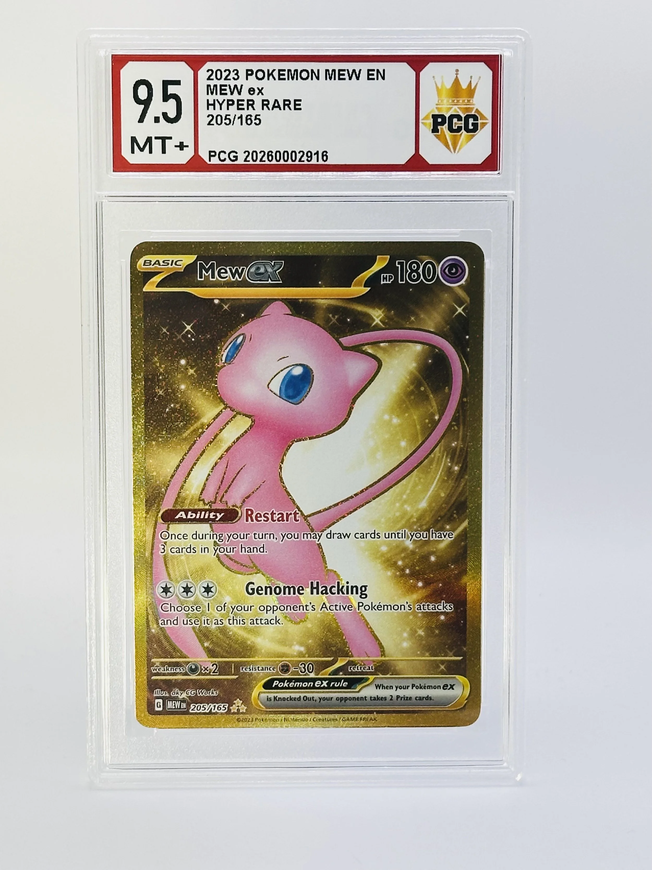 #20260002916 2023 MEW 9.5 MT+