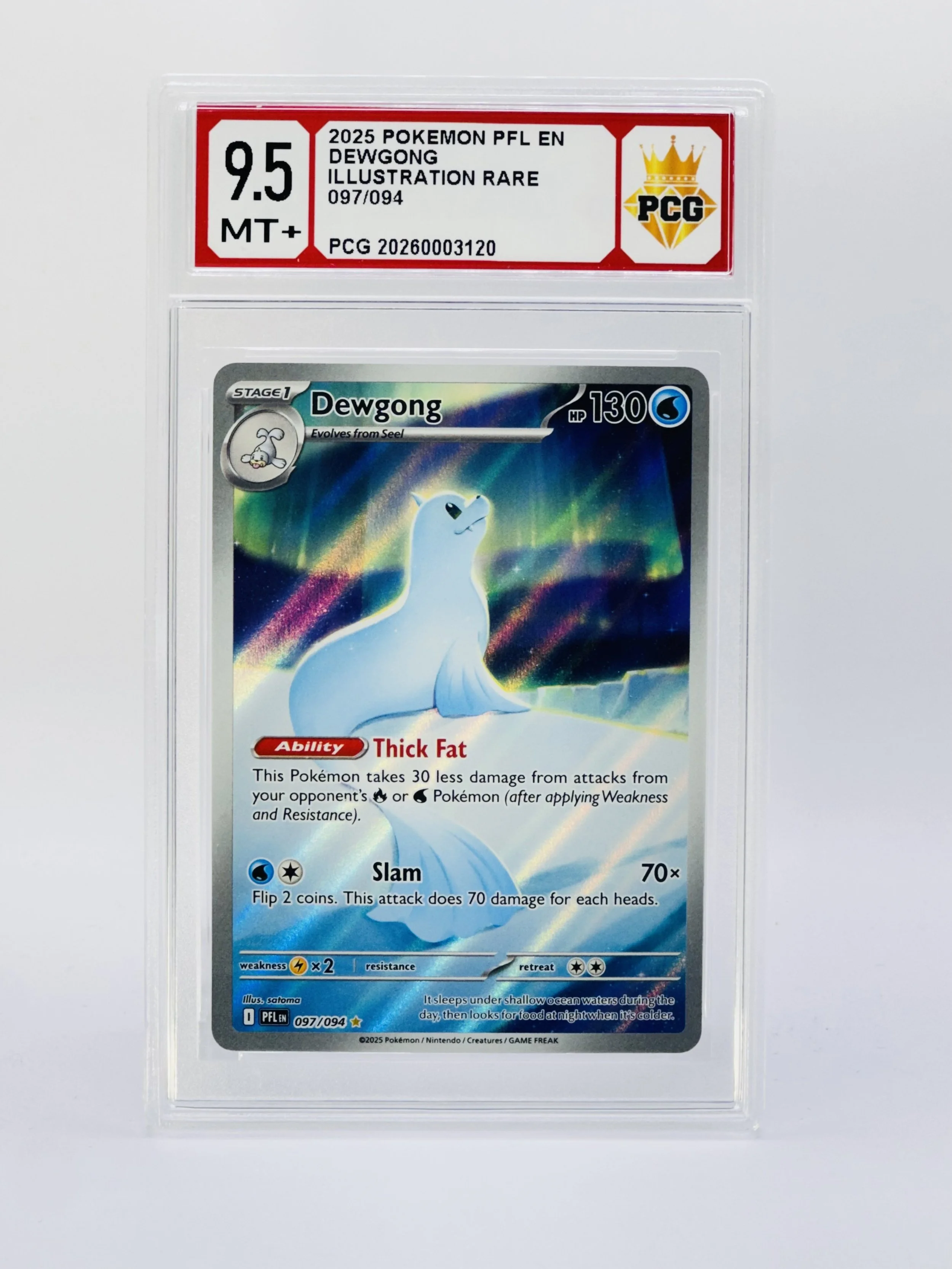 #20260003120 2025 DEWGONG 9.5 MT+