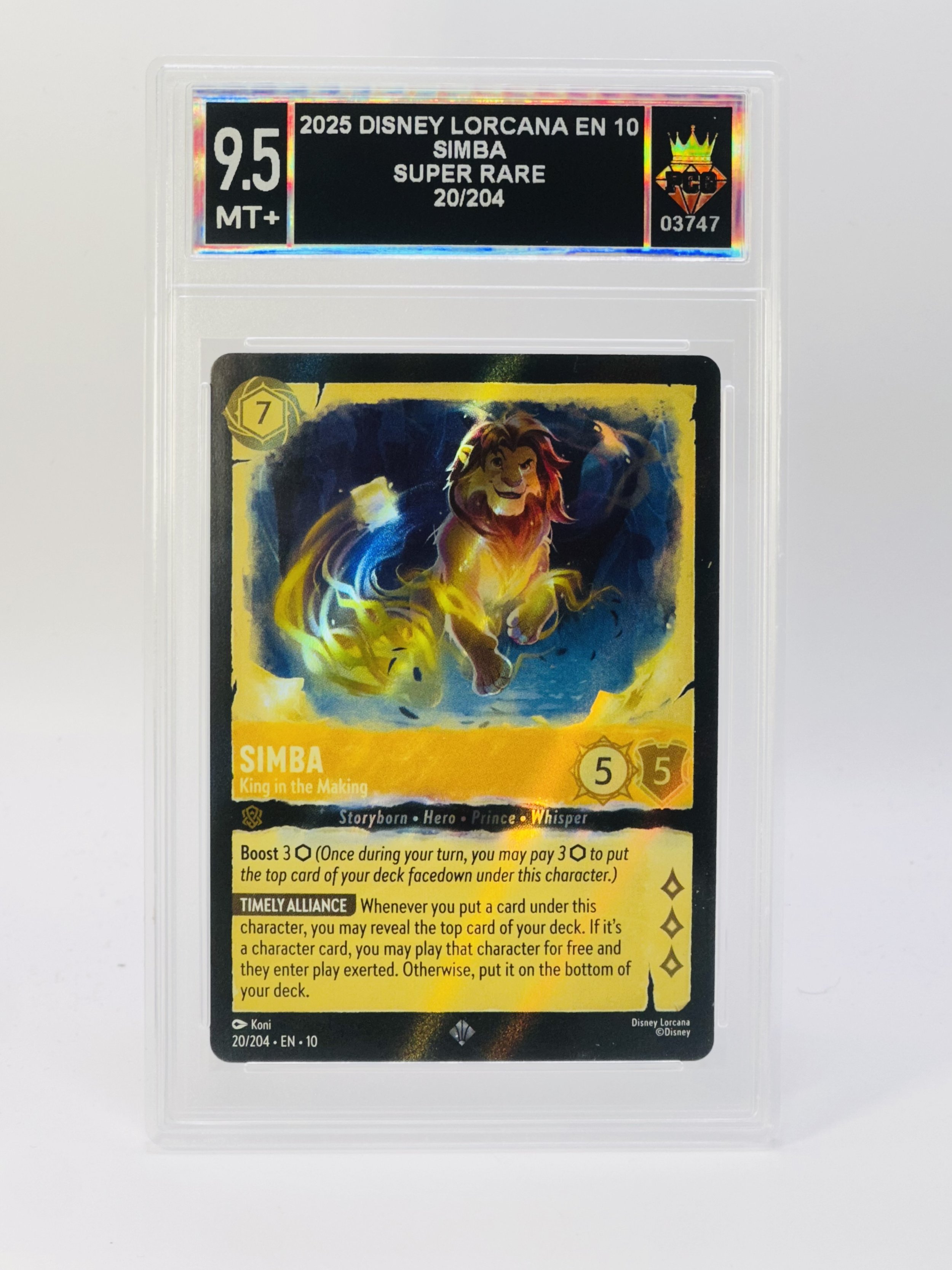 #20260003747 2025 SIMBA 9.5 MT+