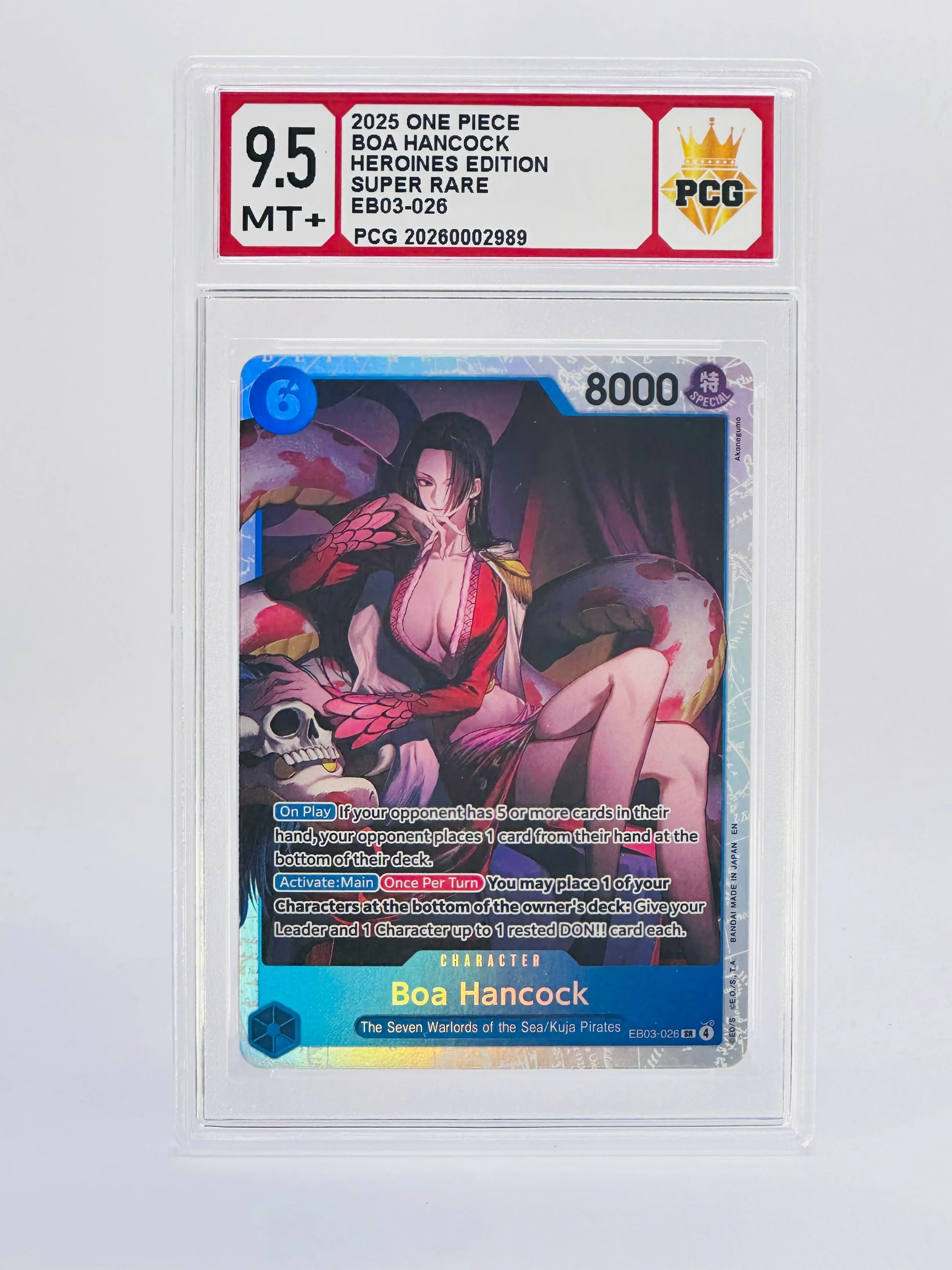 #20260002989 2025 BOA HANCOCK 9.5 MT+