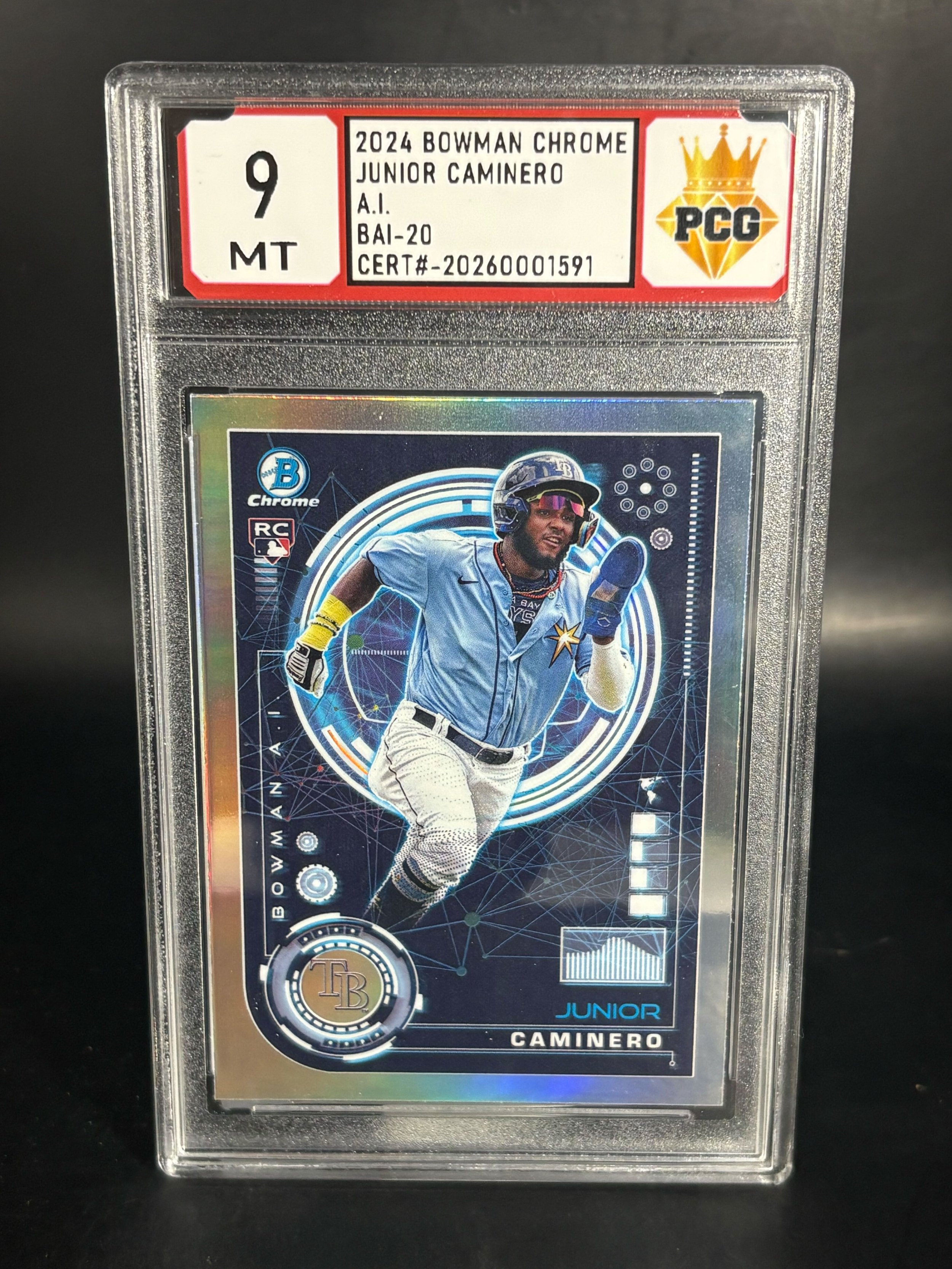 #20260001591 2024 JUNIOR CAMINERO 9 MT