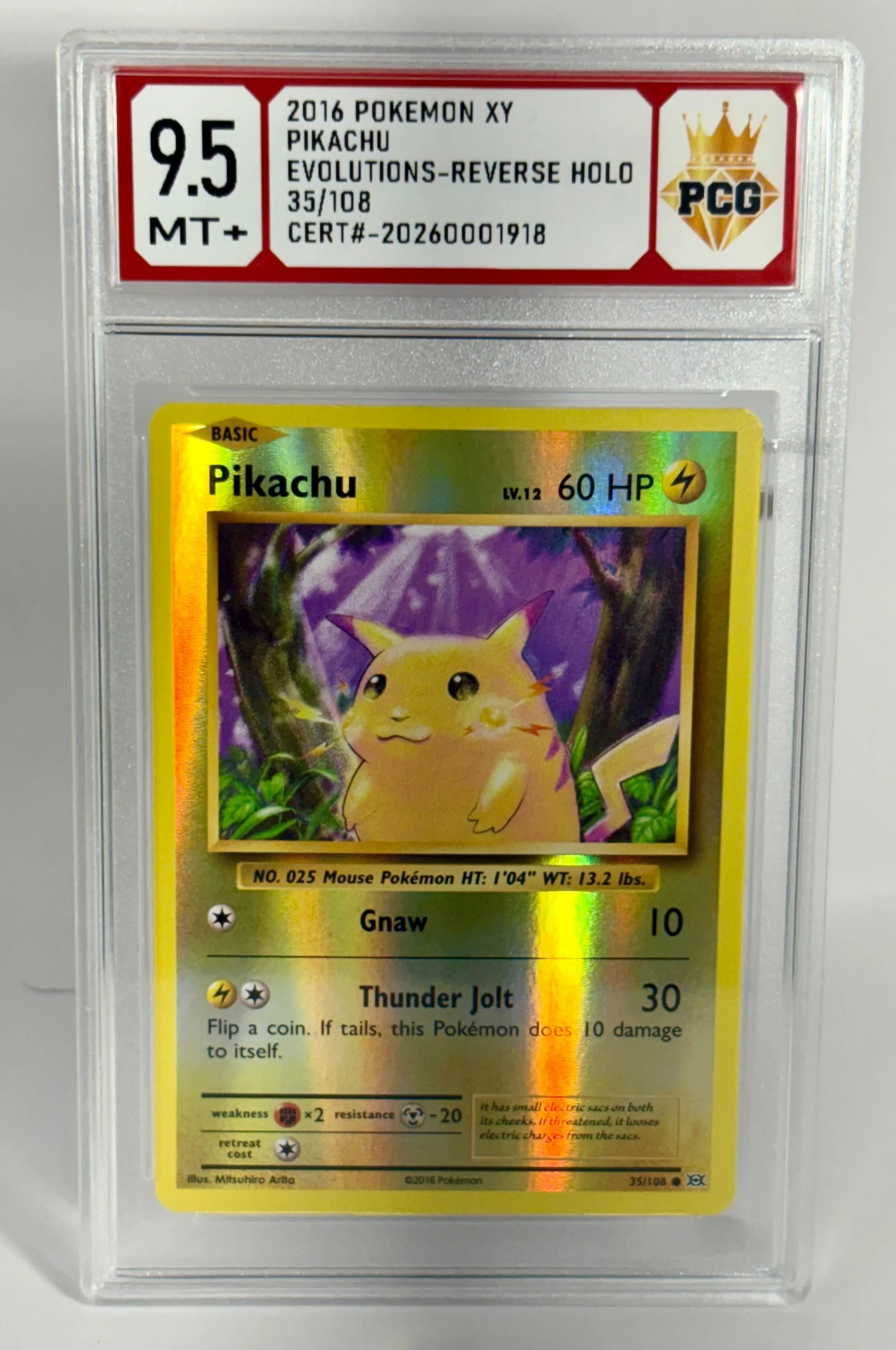 #20260001918 2016 PIKACHU 9.5 MT +