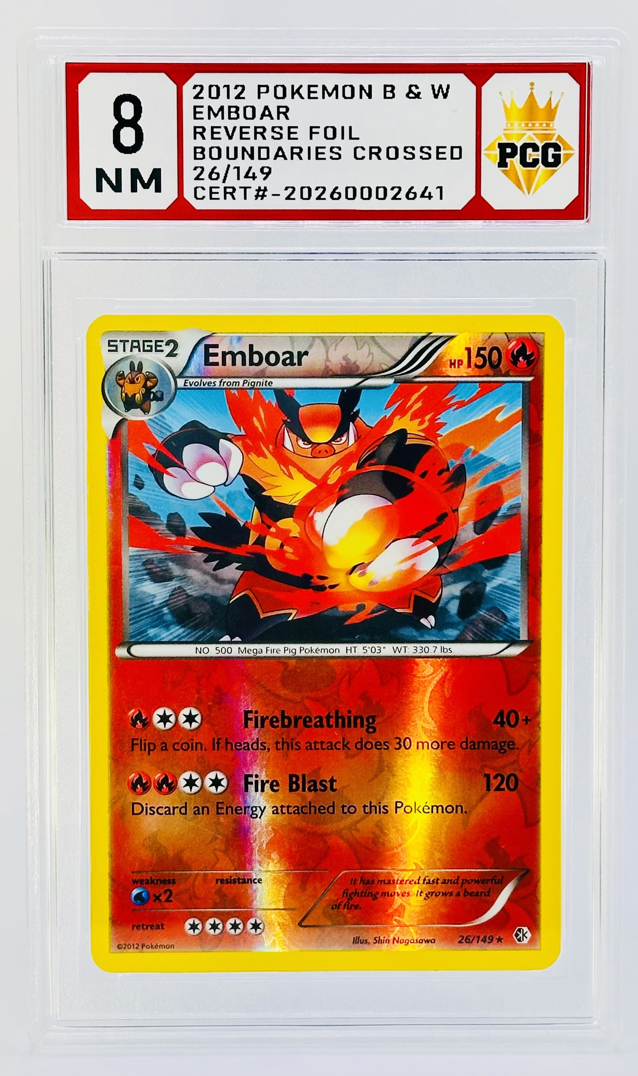 #20260002641 2012 REVERSE FOIL 8 NM