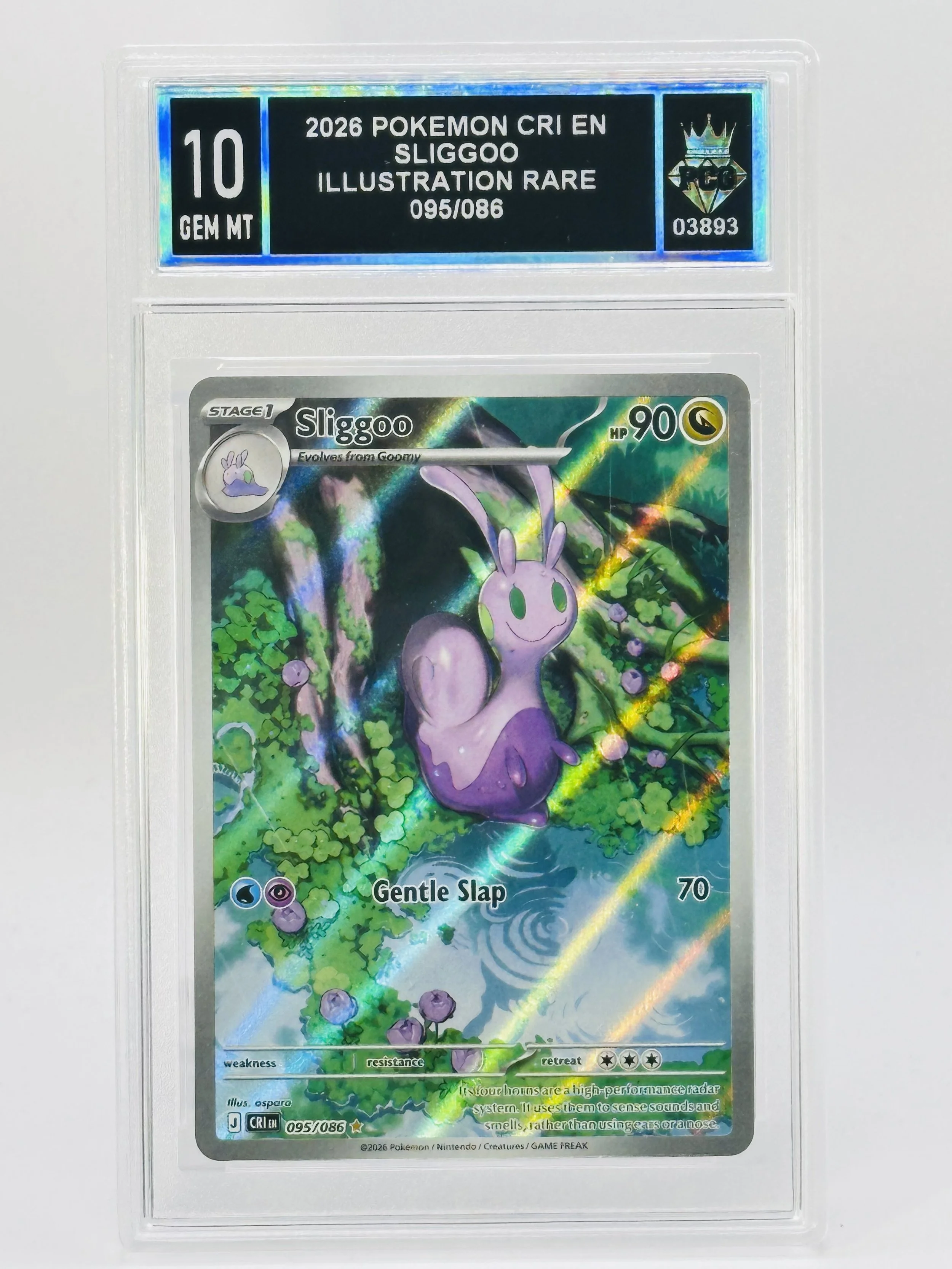 #20260003893 2026 SLIGGOO 10 GEM MT