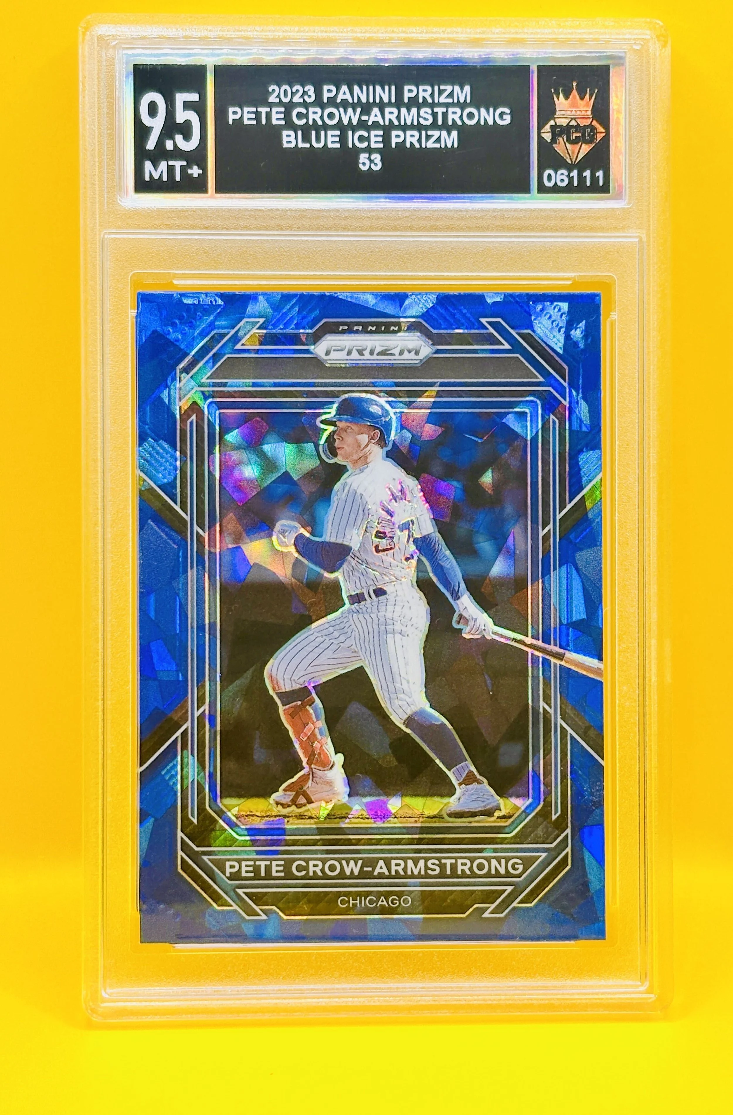 #06111 2023 PETE CROW-ARMSTRONG 9.5 MT+