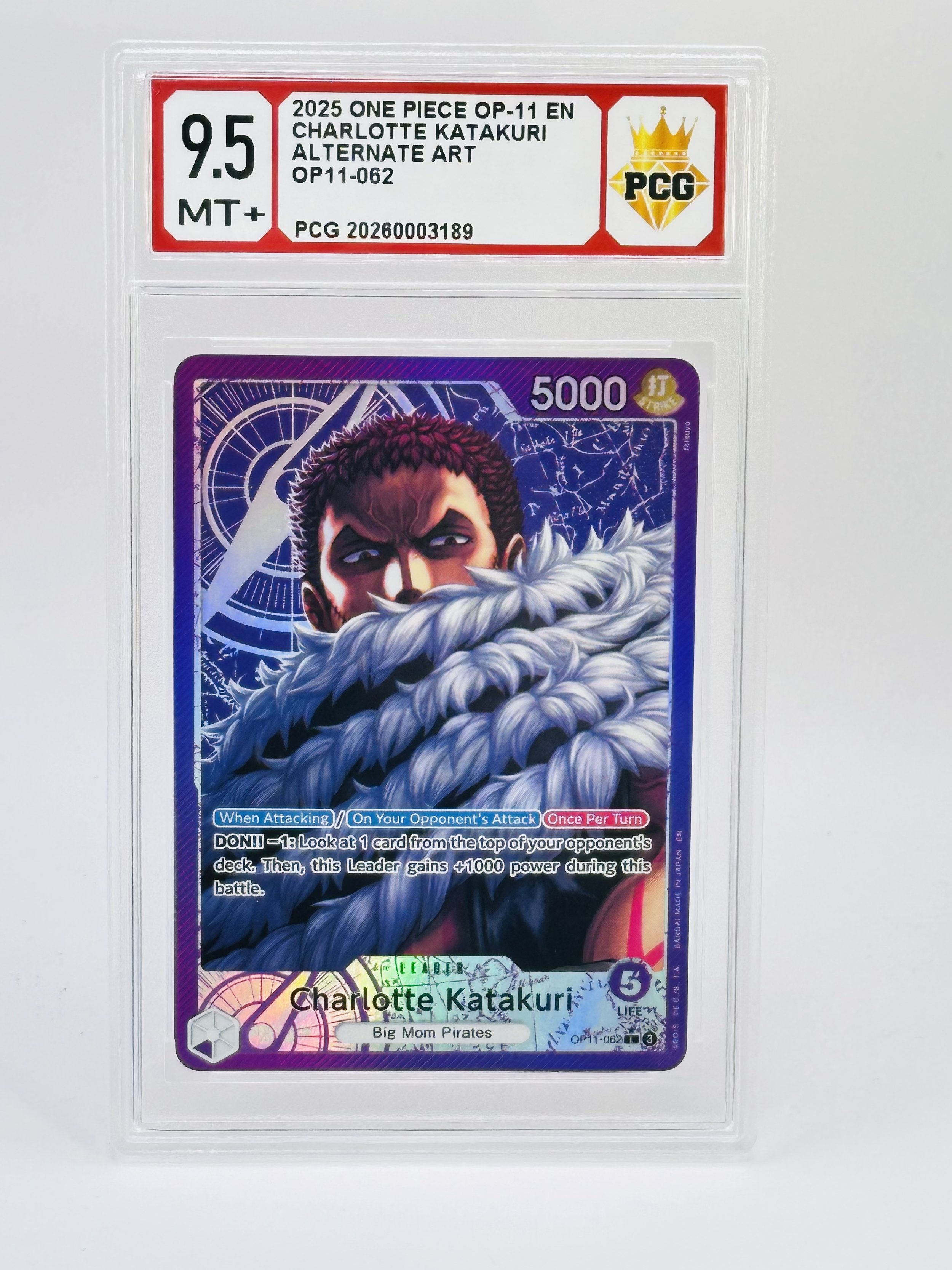 #20260003189 2025 CHARLOTTE KATAKURI 9.5 MT+