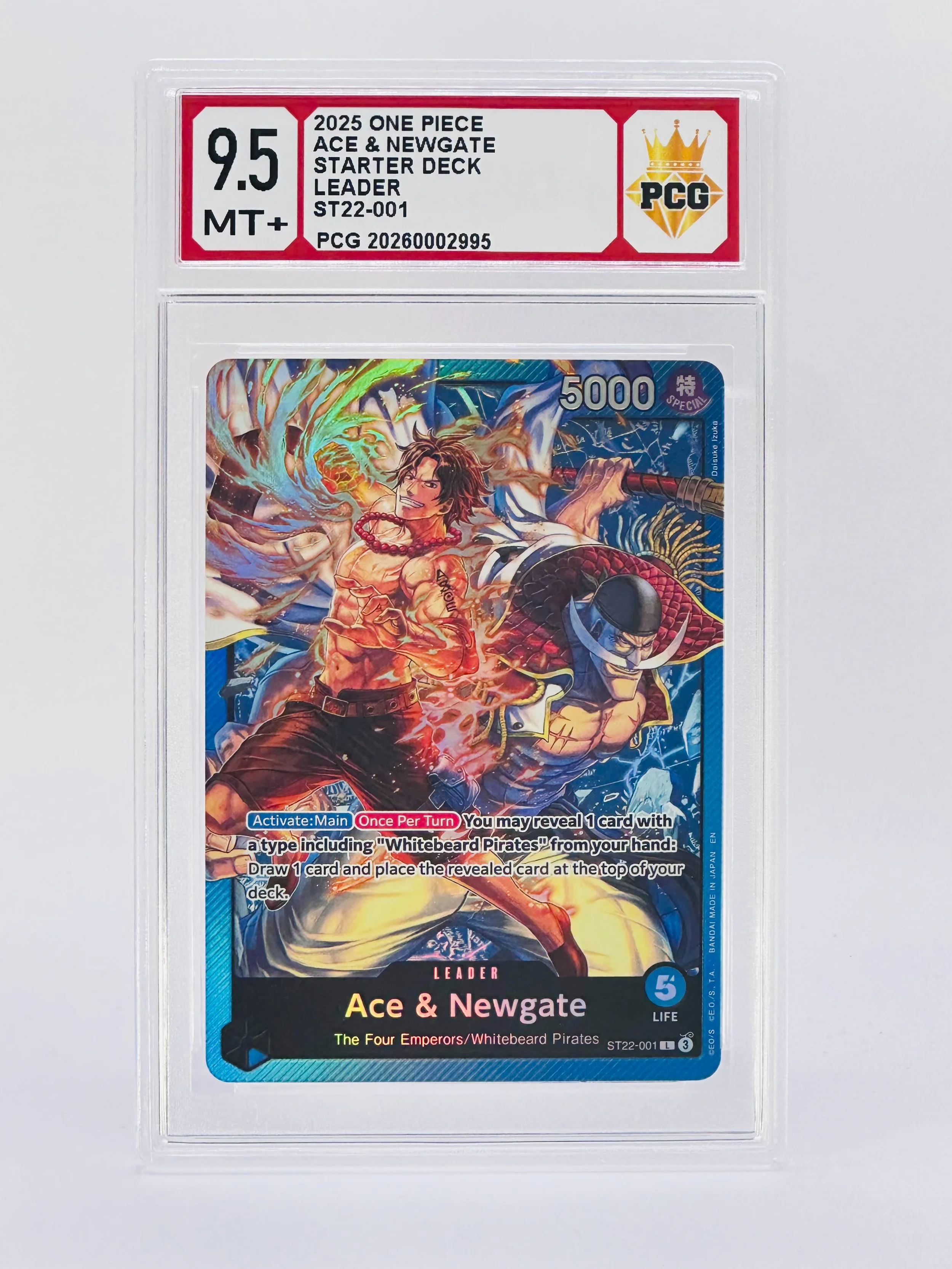 #20260002995 2025 ACE & NEWGATE 9.5 MT+
