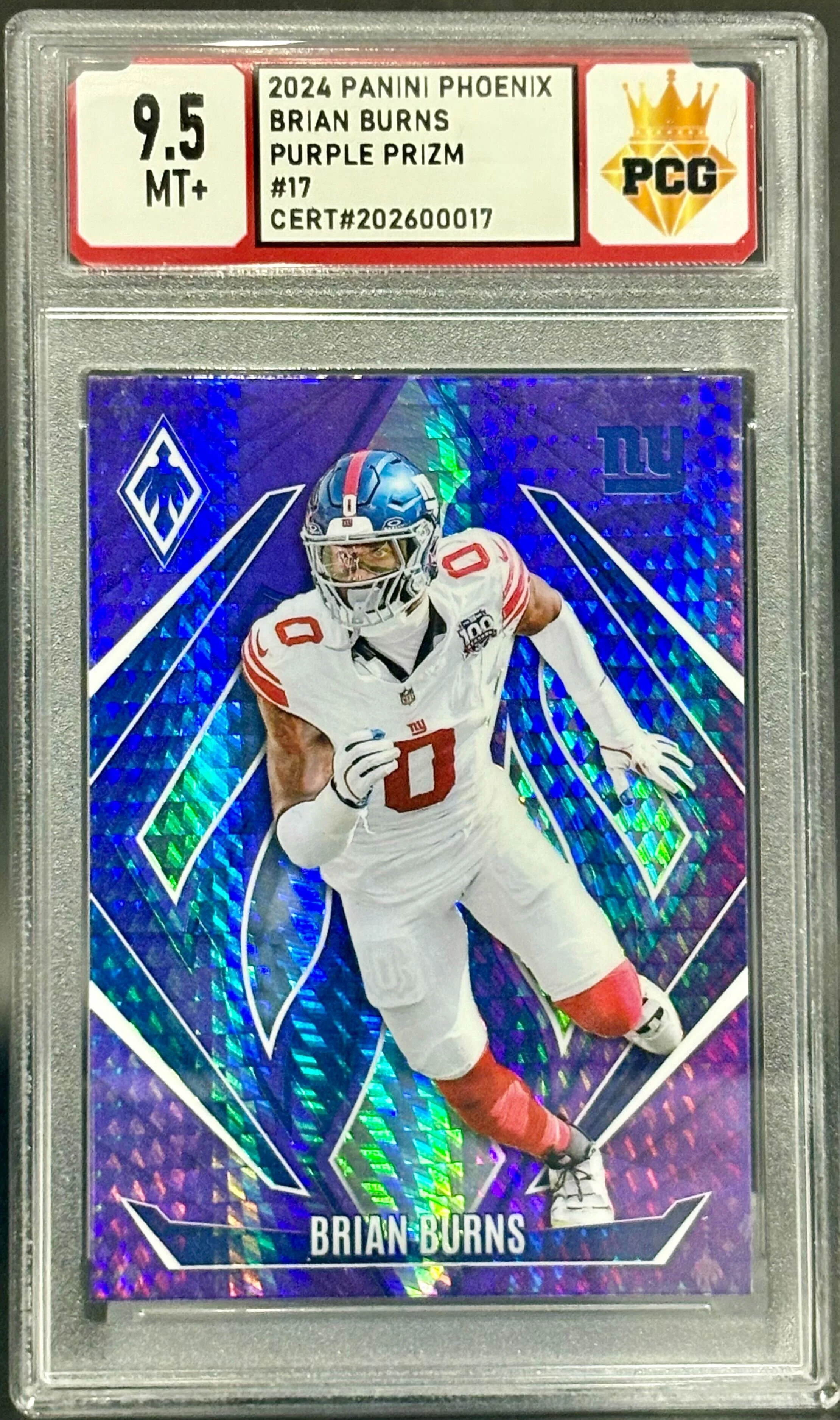 #202600017 2024 BRIAN BURNS 9.5 MT +