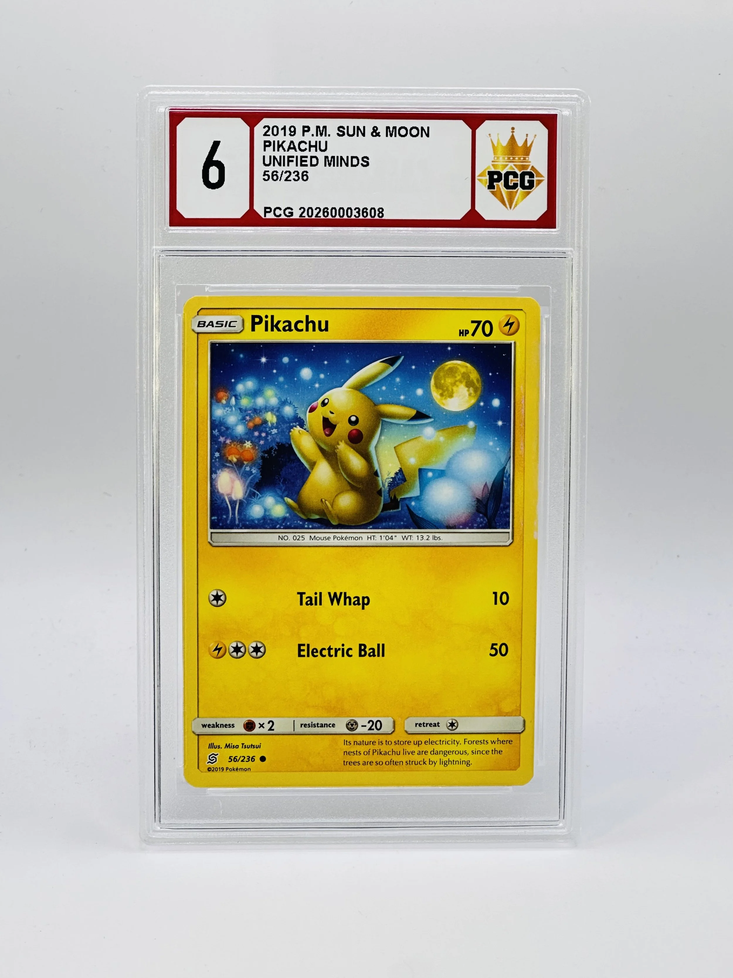 #20260003608 2019 PIKACHU 6