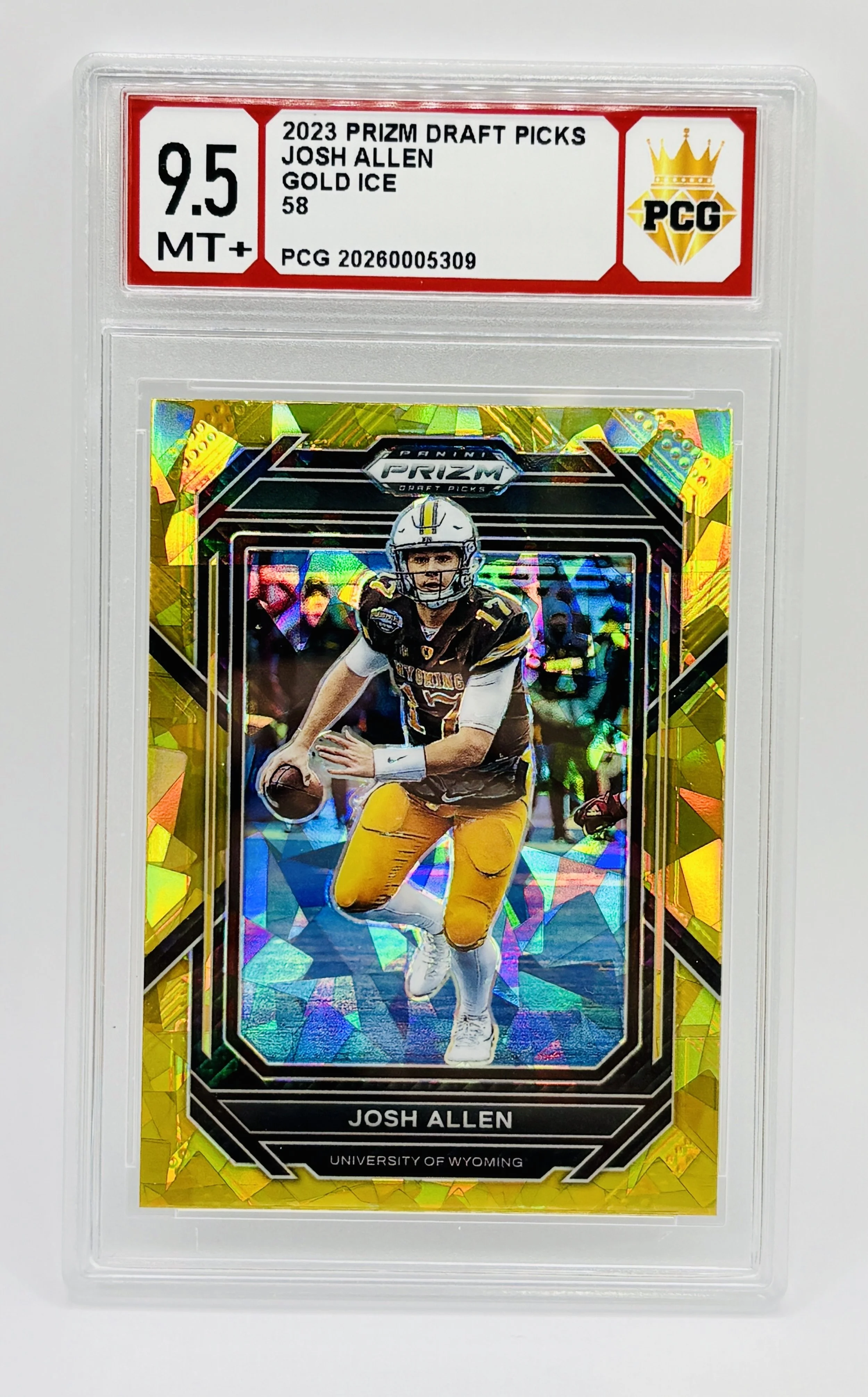 #20260005309 2023 JOSH ALLEN 9.5 MT+