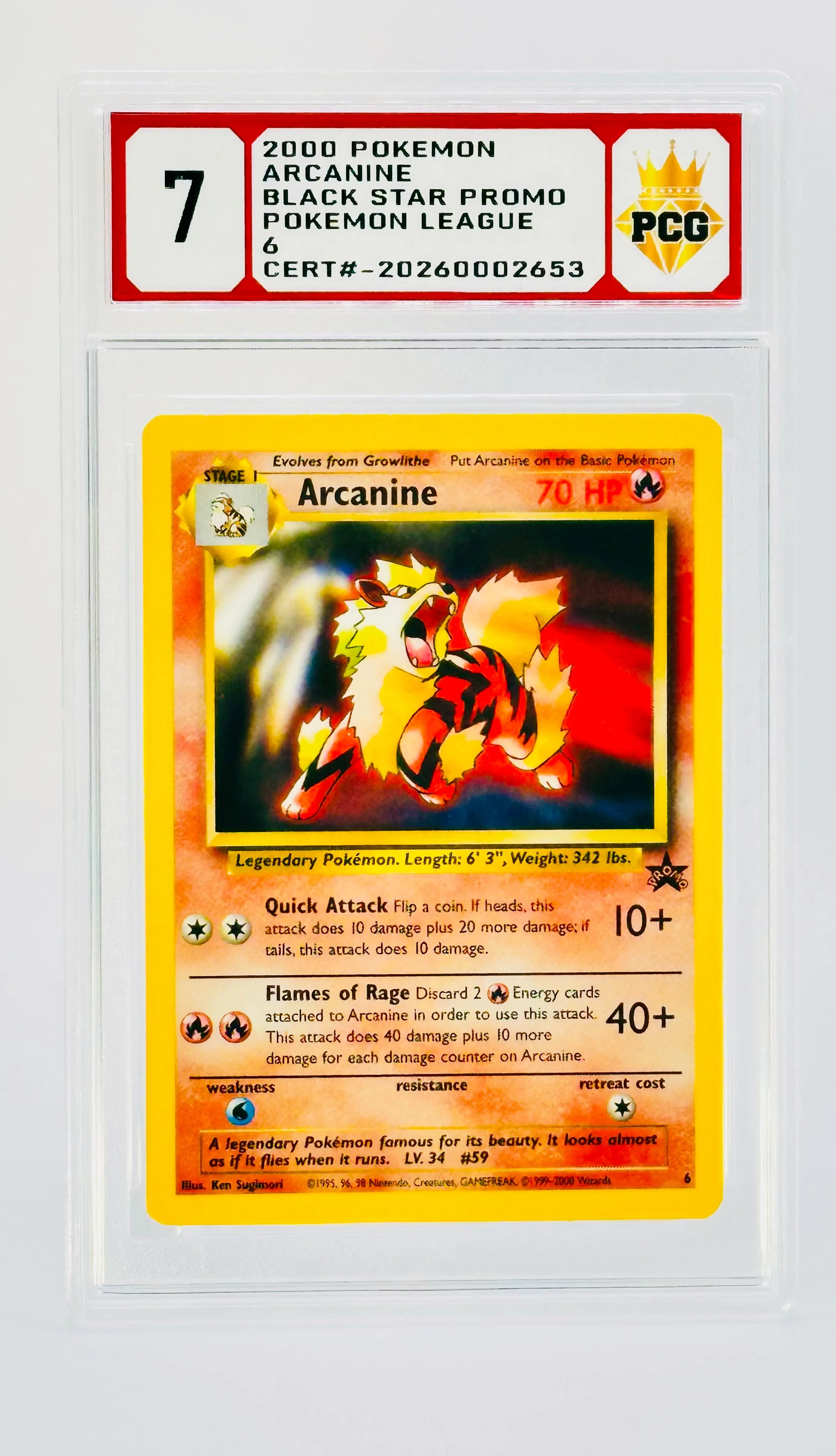 #20260002653 2000 ARCANINIE 7