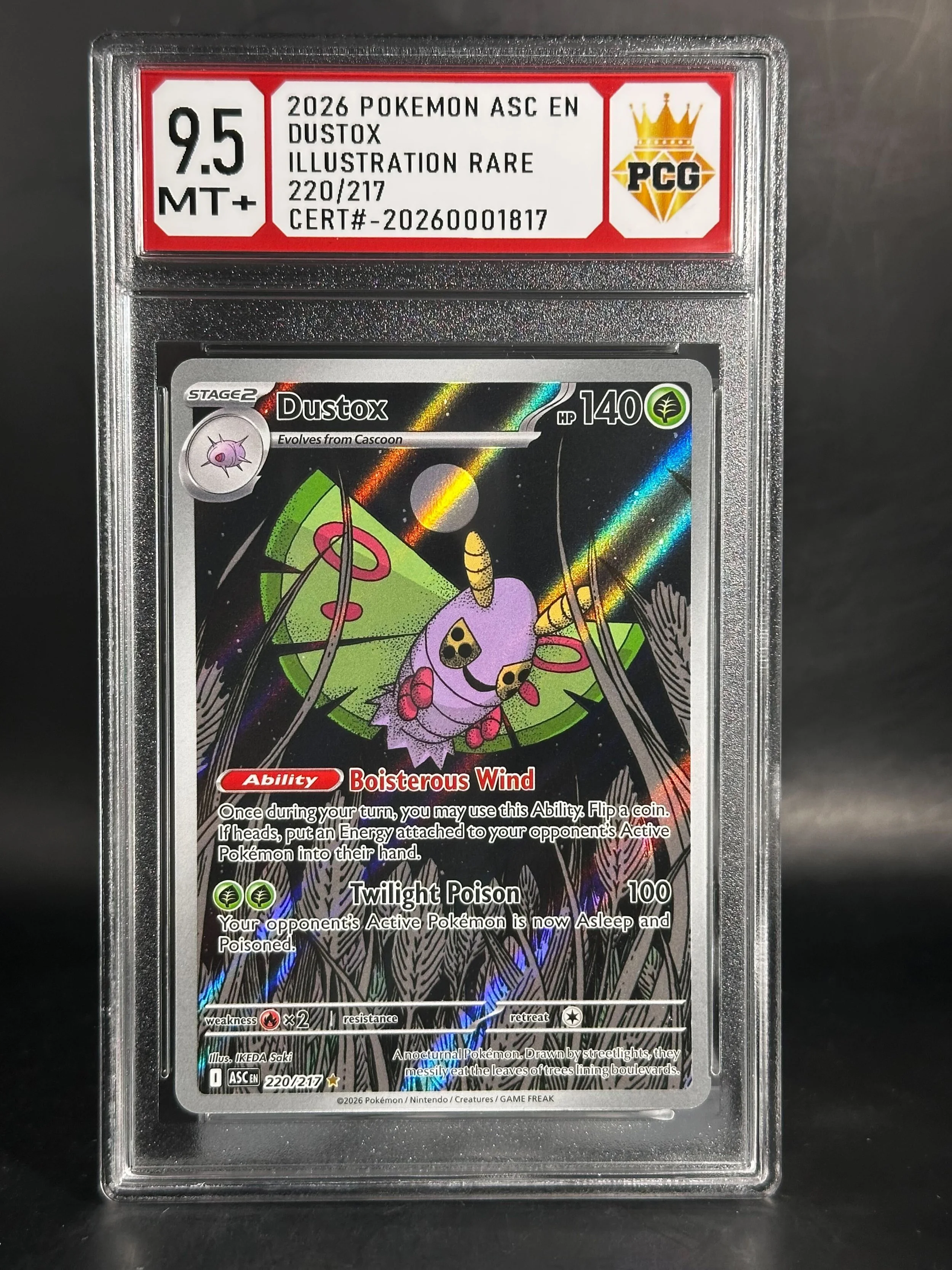 #20270001817 2026 DUSTOX 9.5 MT+