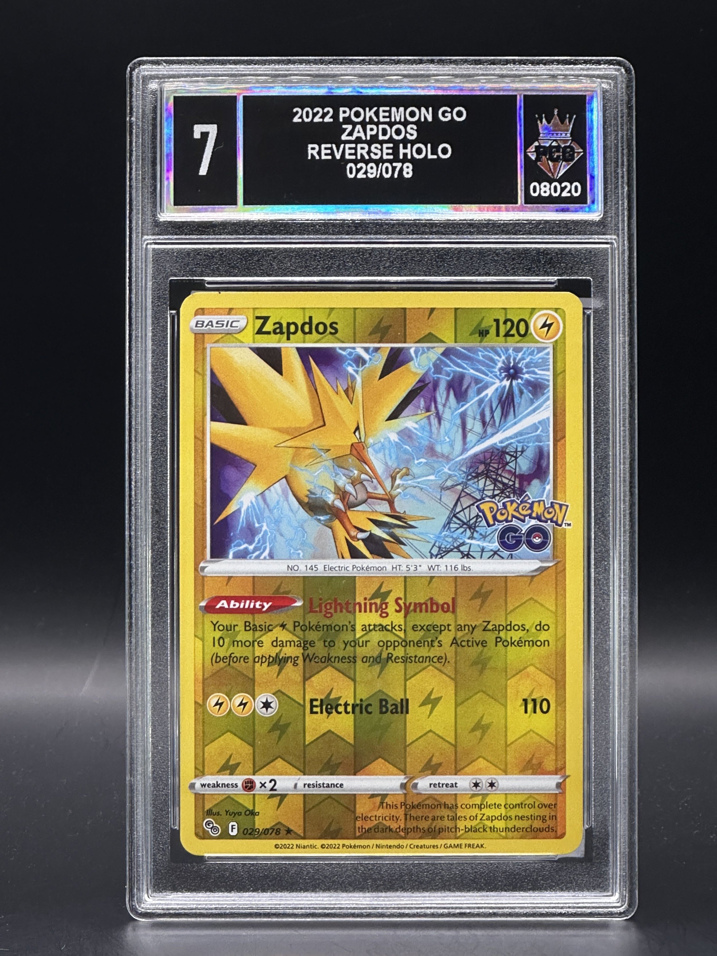 #08020 2022 ZAPDOS 7