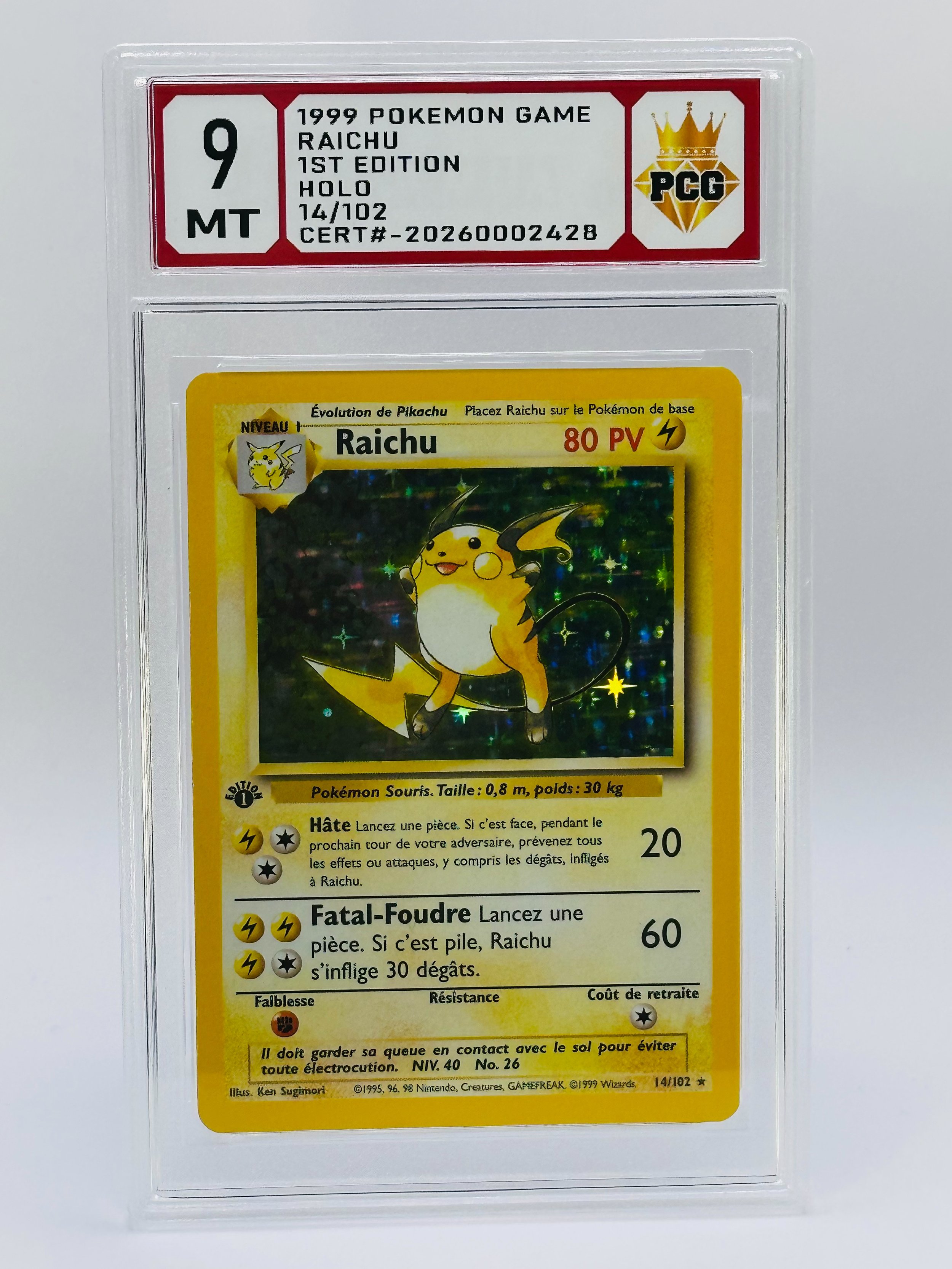 #20260002428 1999 RAICHU 9 MT