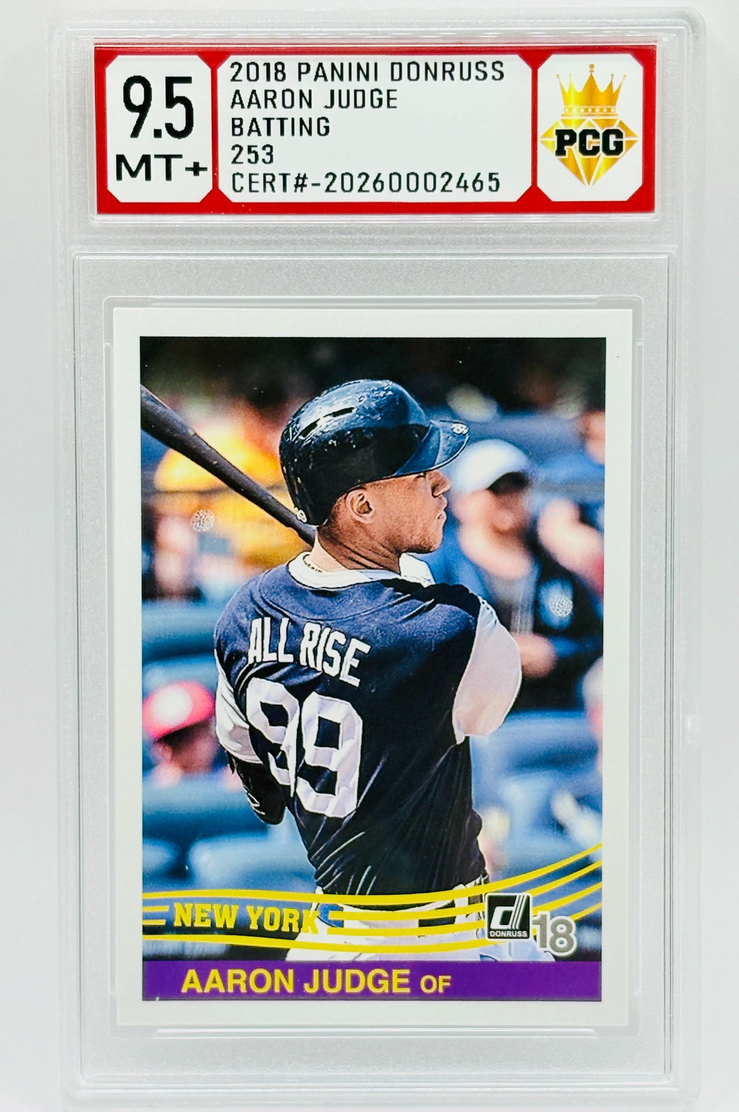 #20260002465 2018 AARPN JUDGE 9.5 MT+