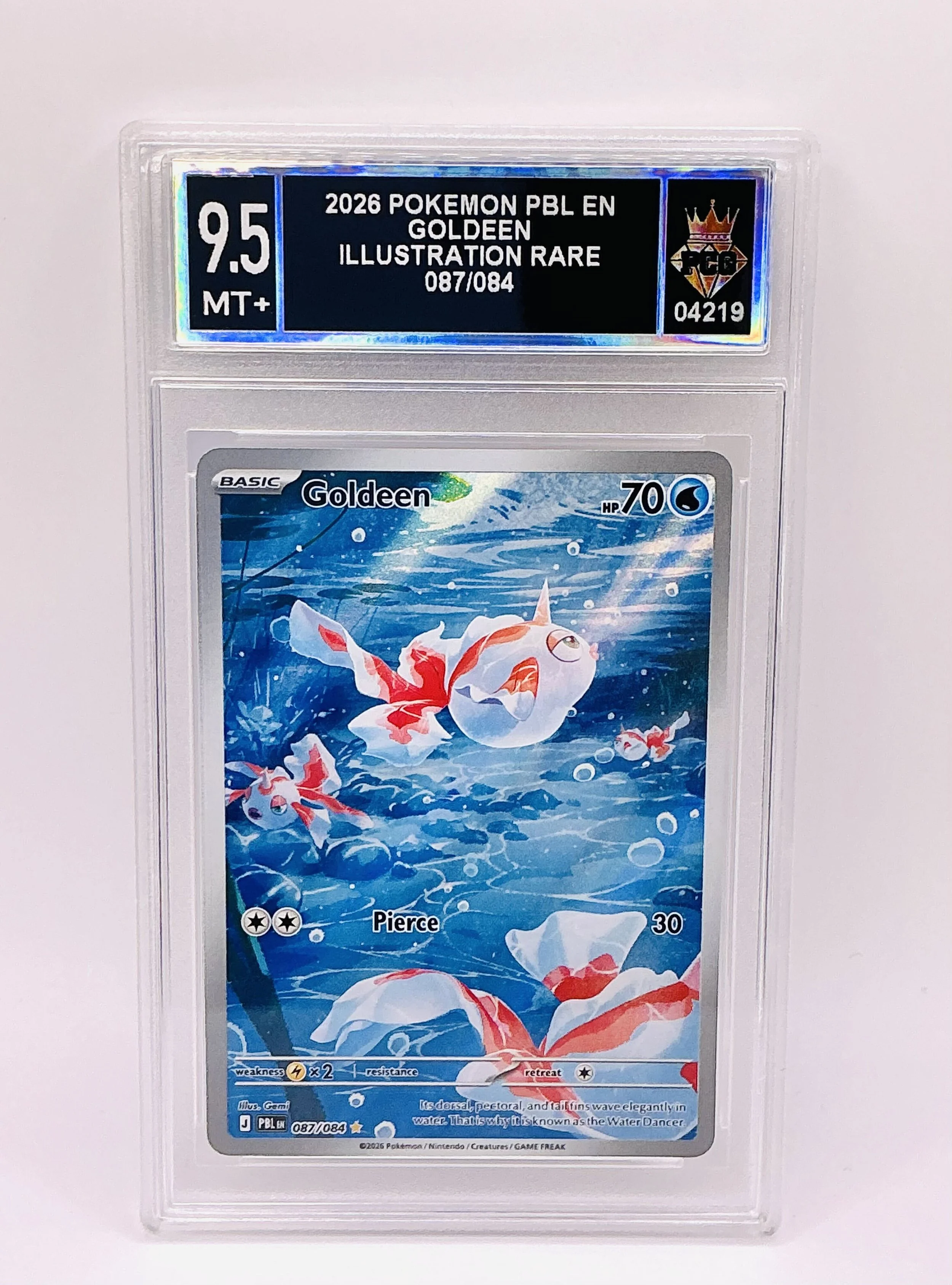 #04219 2026 GOLDEEN 9.5 MT+