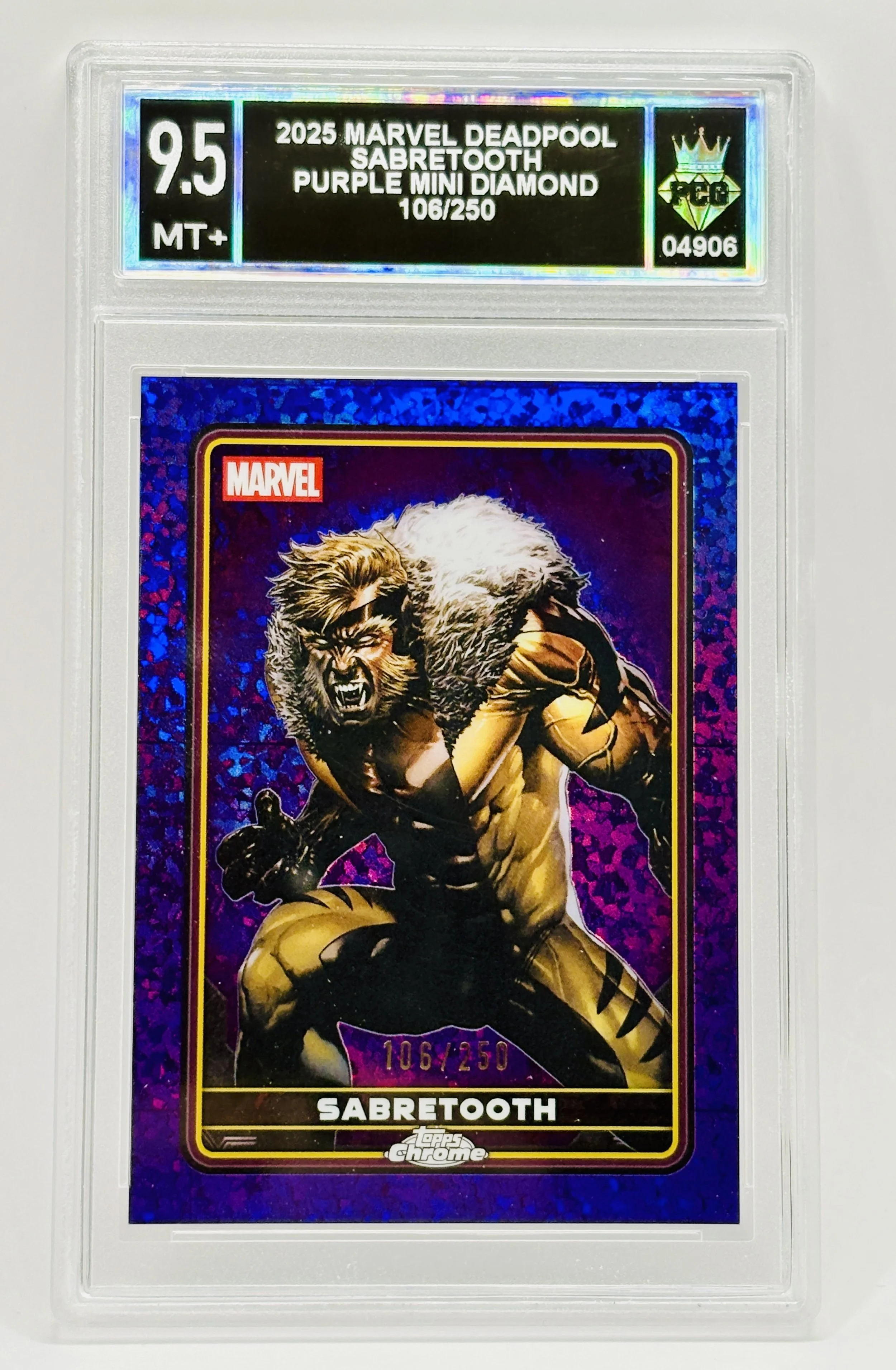 #20260004906 2025 SABERTOOTH 9.5 MT+