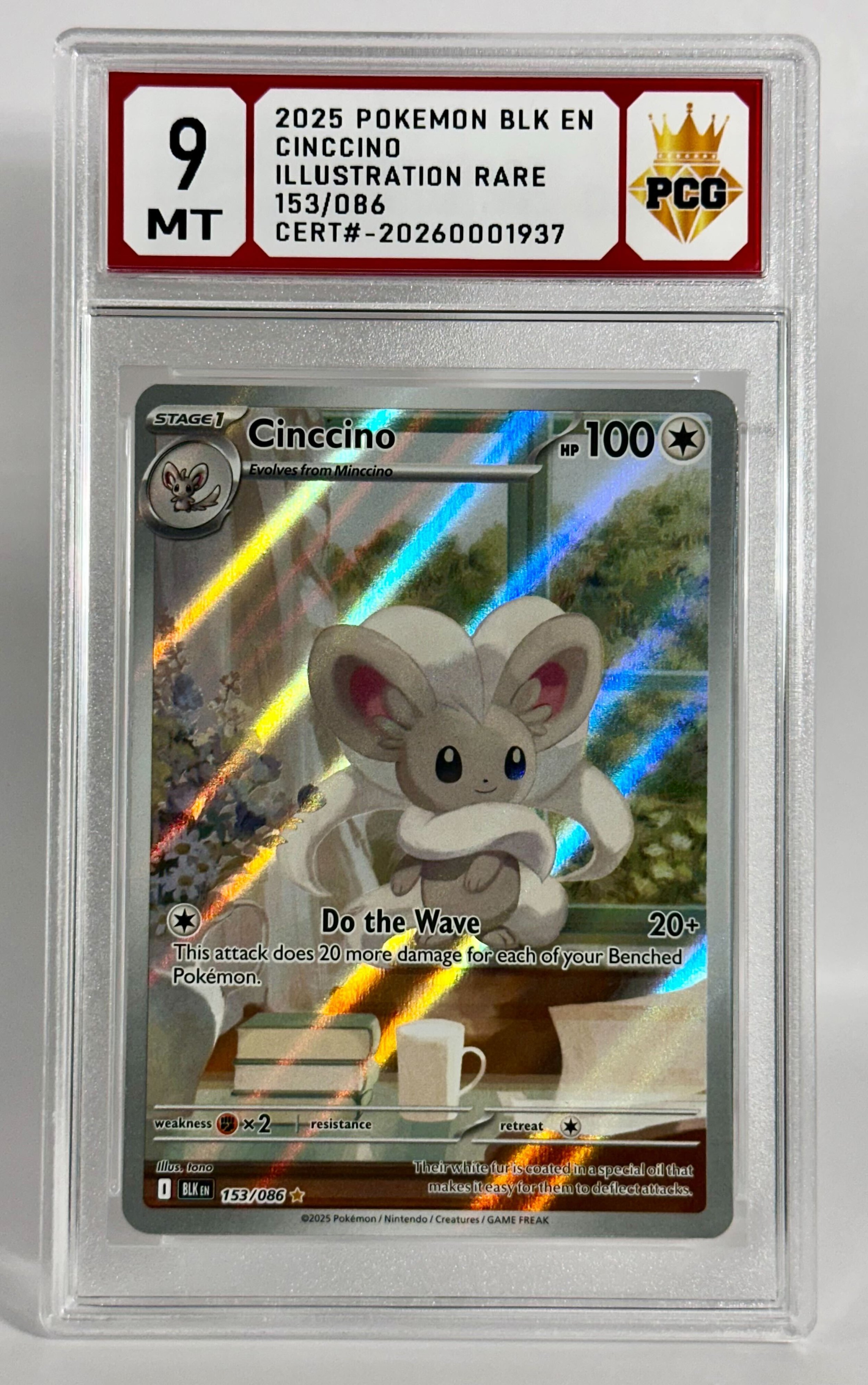 #20260001937 2025 CINCCINO 9 MT