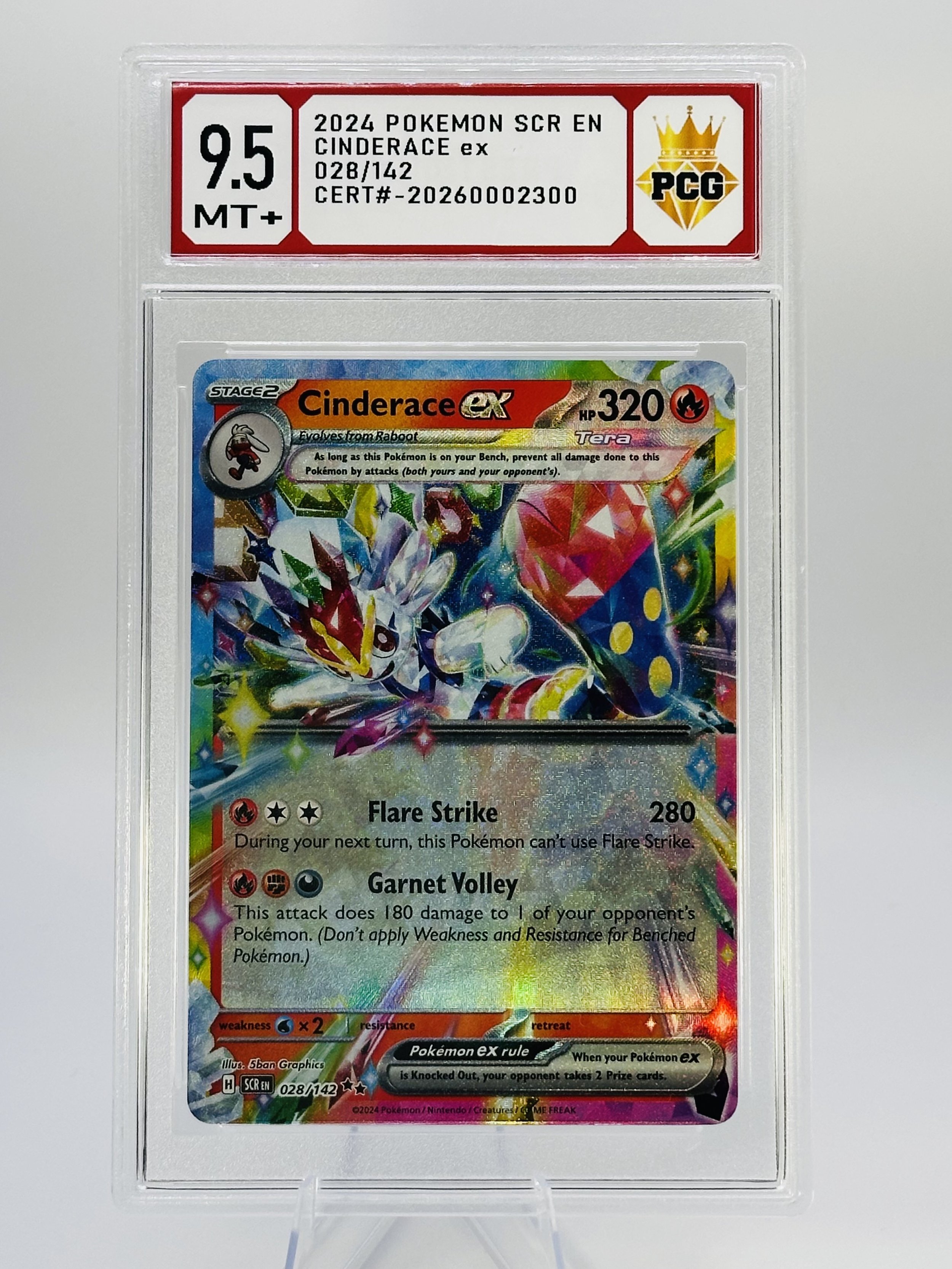 #20260002300 2024 CINDERACE EX 9.5 MT+