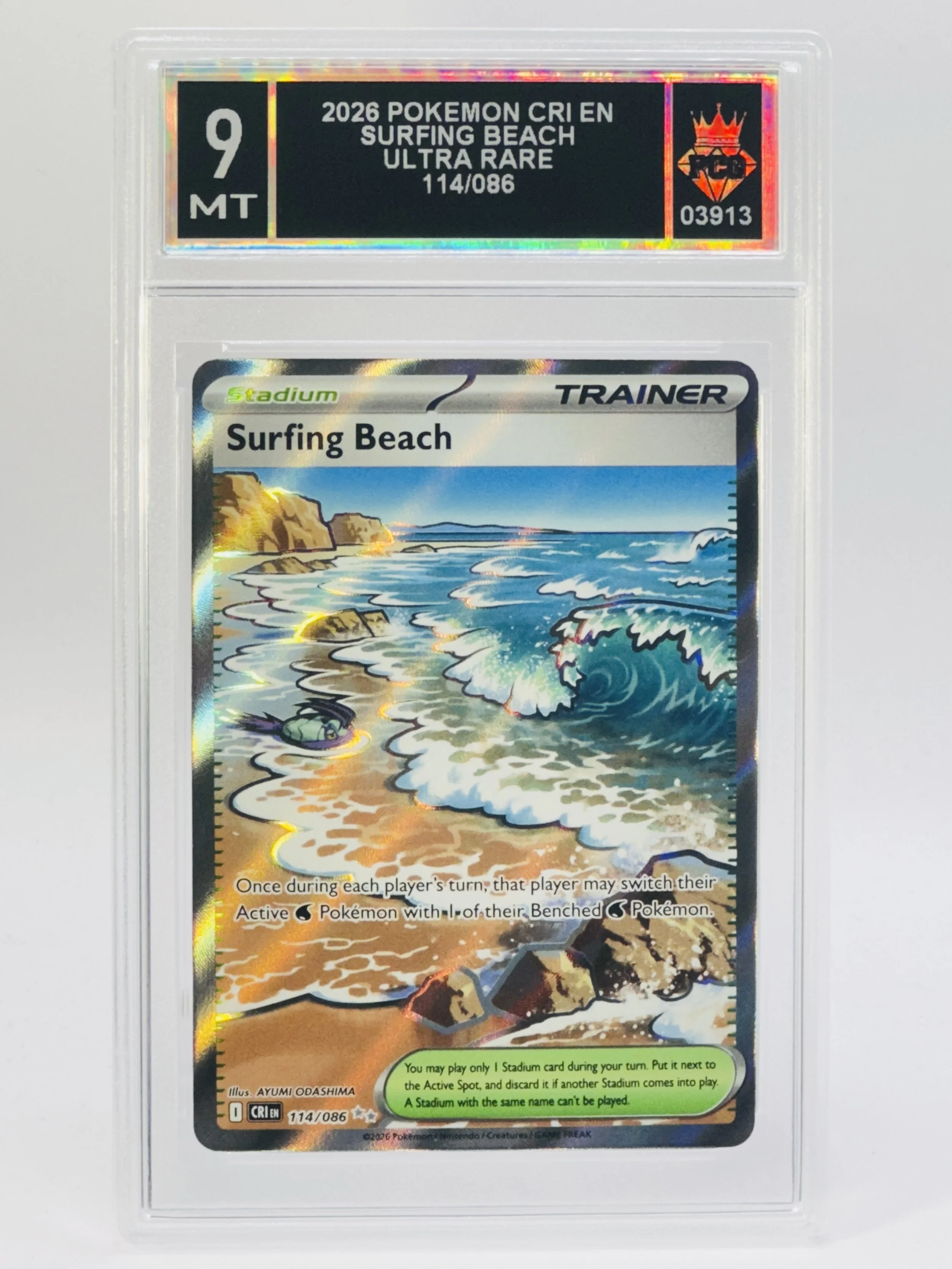 #20260003913 2026 SURFING BEACH 9 MT