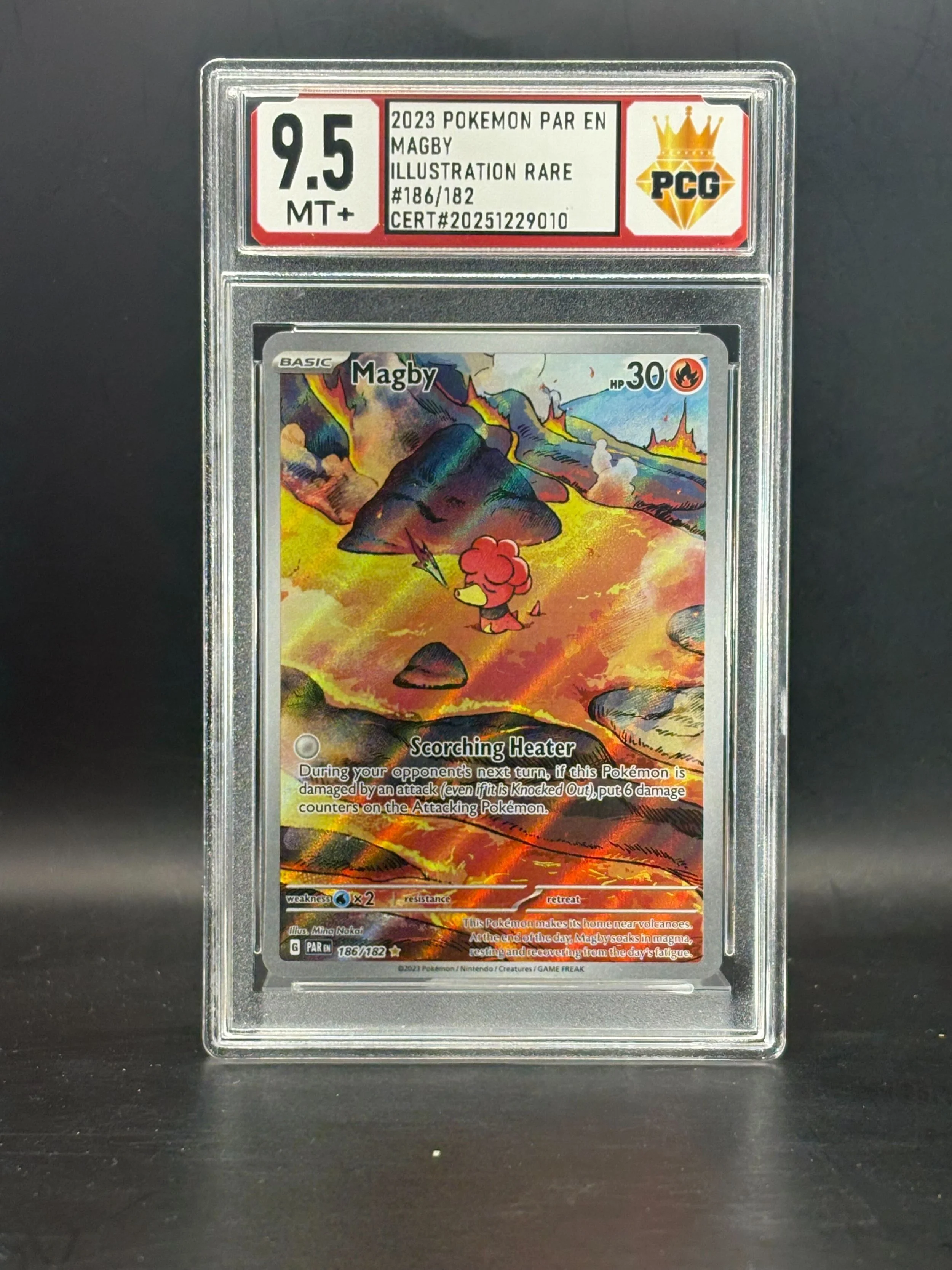 #20251229010 POKEMON PAR EN MAGBY 9.5 MT+