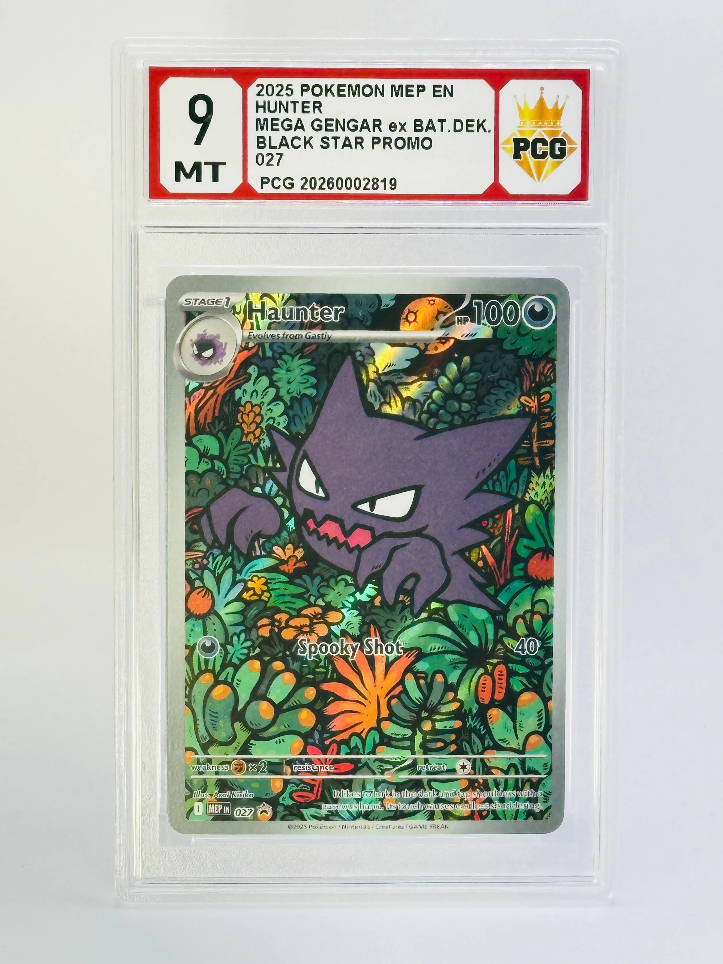 #20260002819 2025 HAUNTER 9 MT