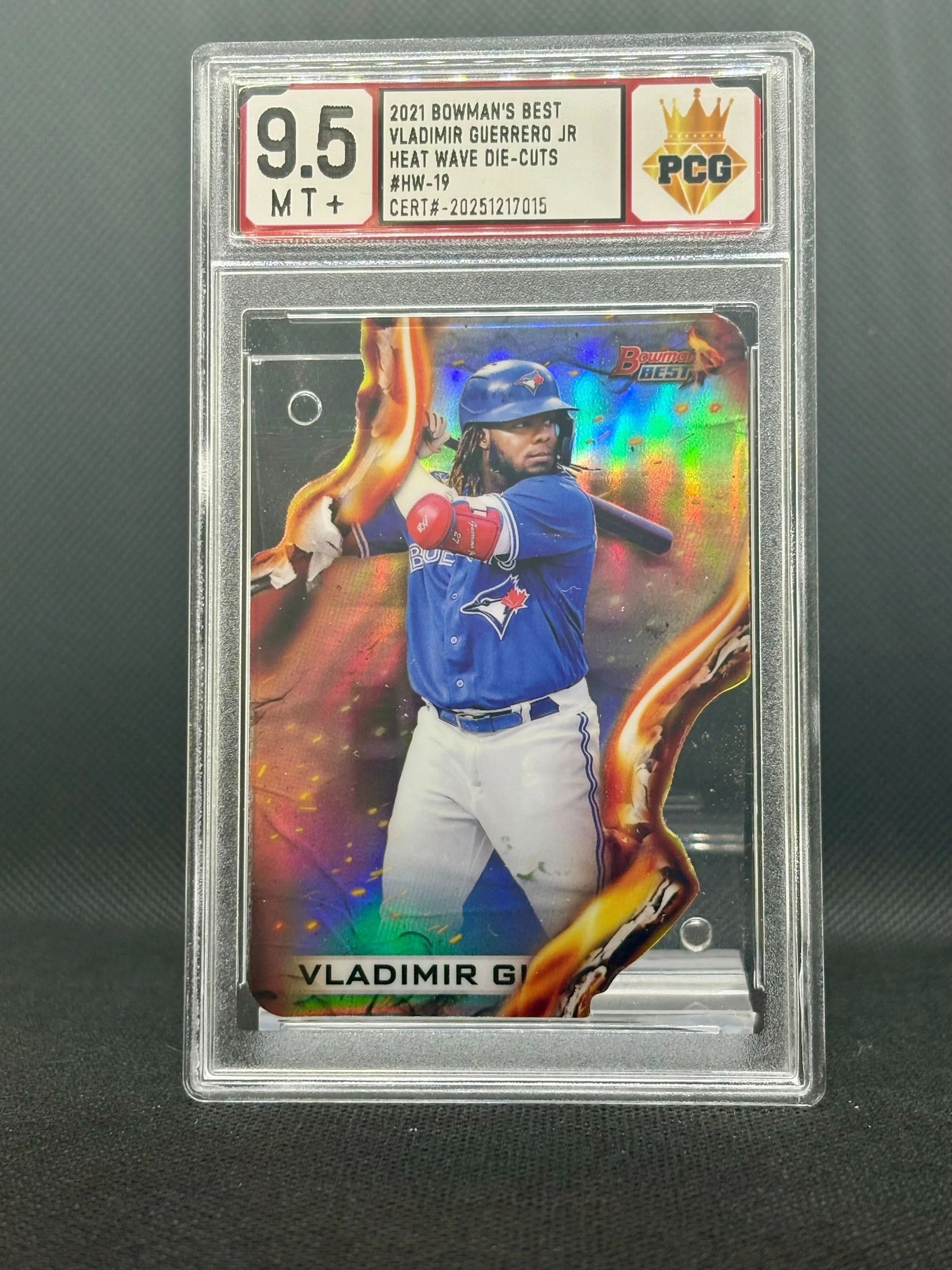 #20251217015 VLADIMIR GUERRERO JR 9.5 MT+