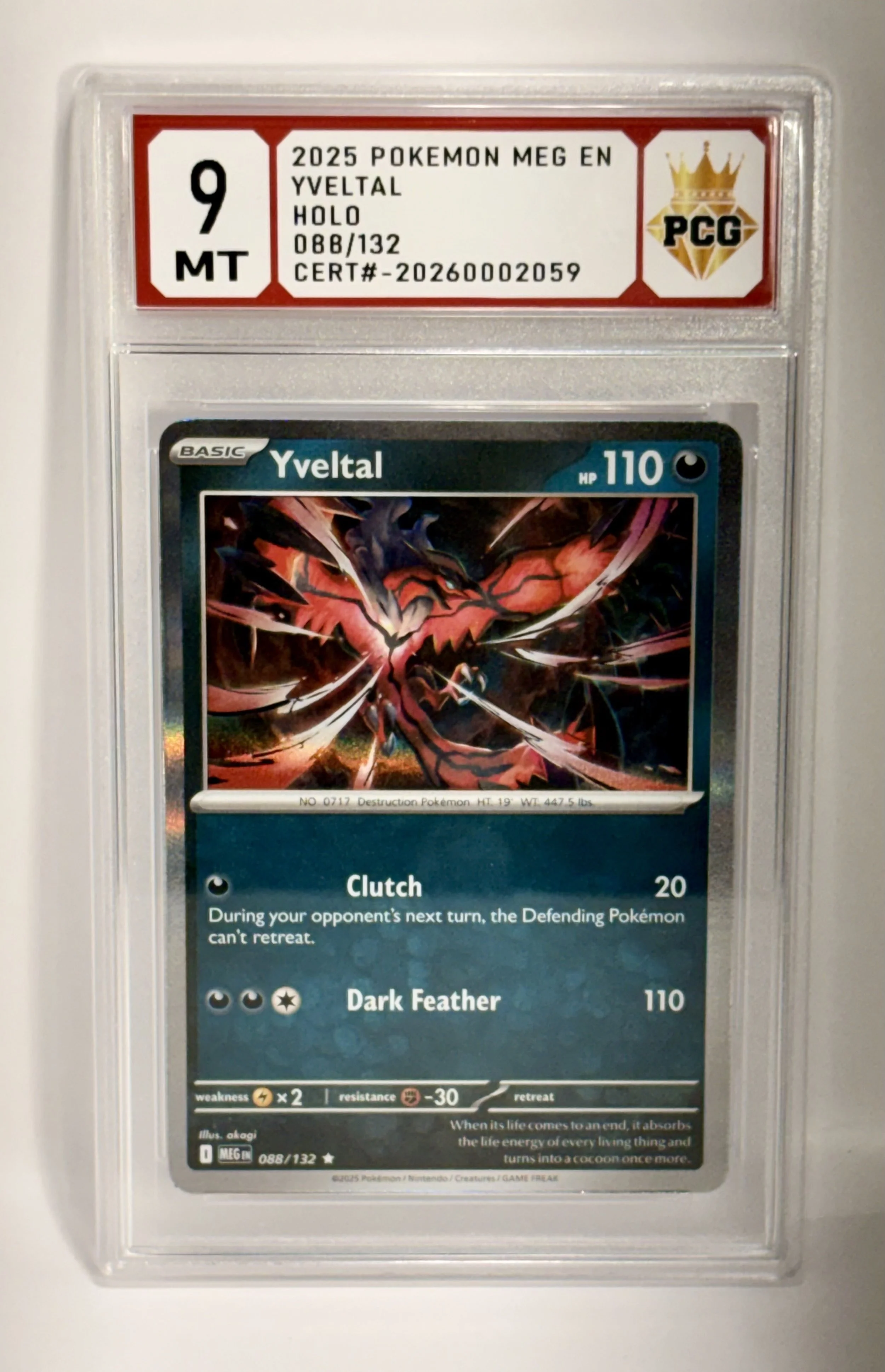 #20260002059 2025 YVELTAL 09 MT