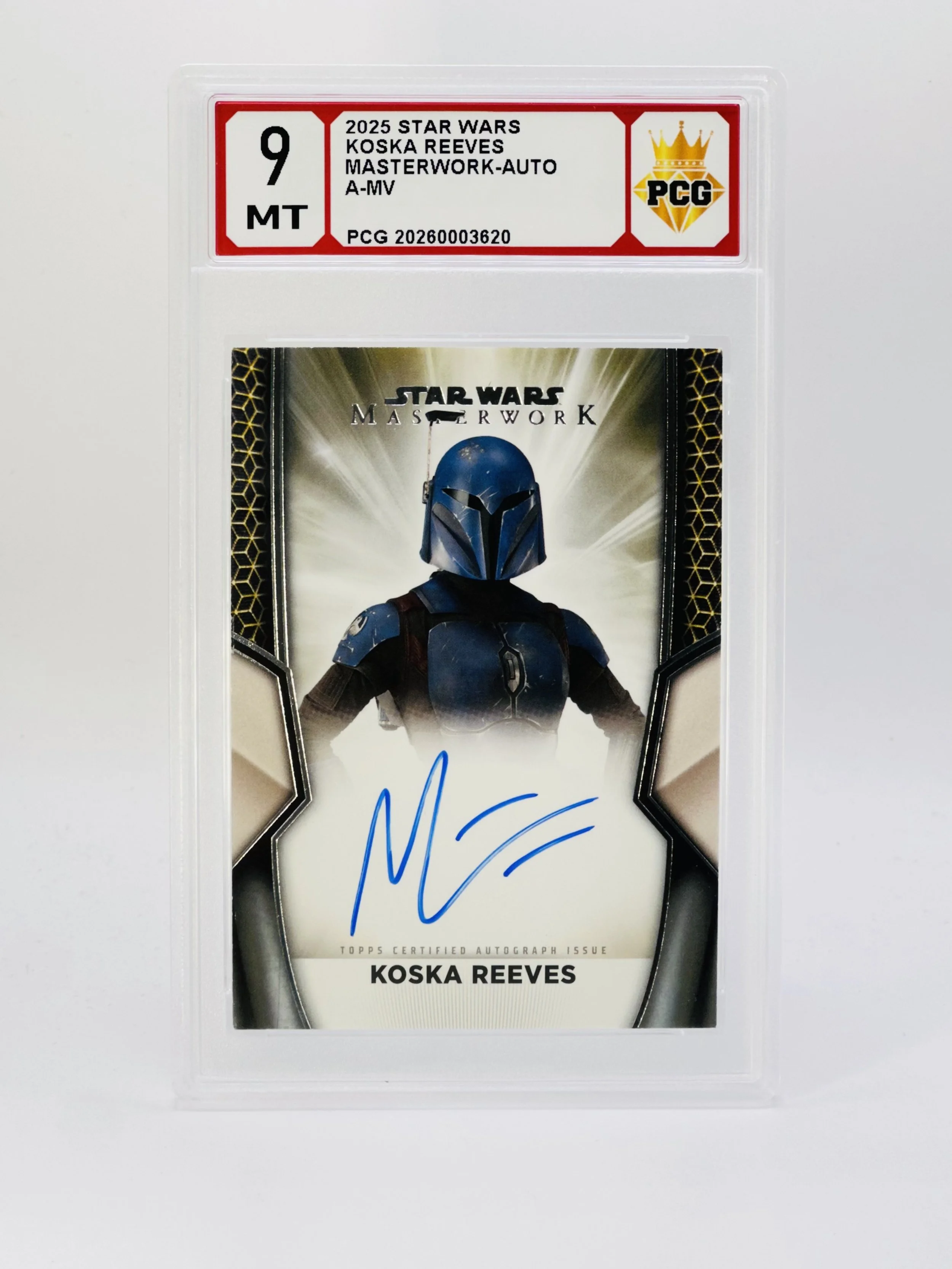 #20260003620 2025 KOSKA REEVES 9 MT