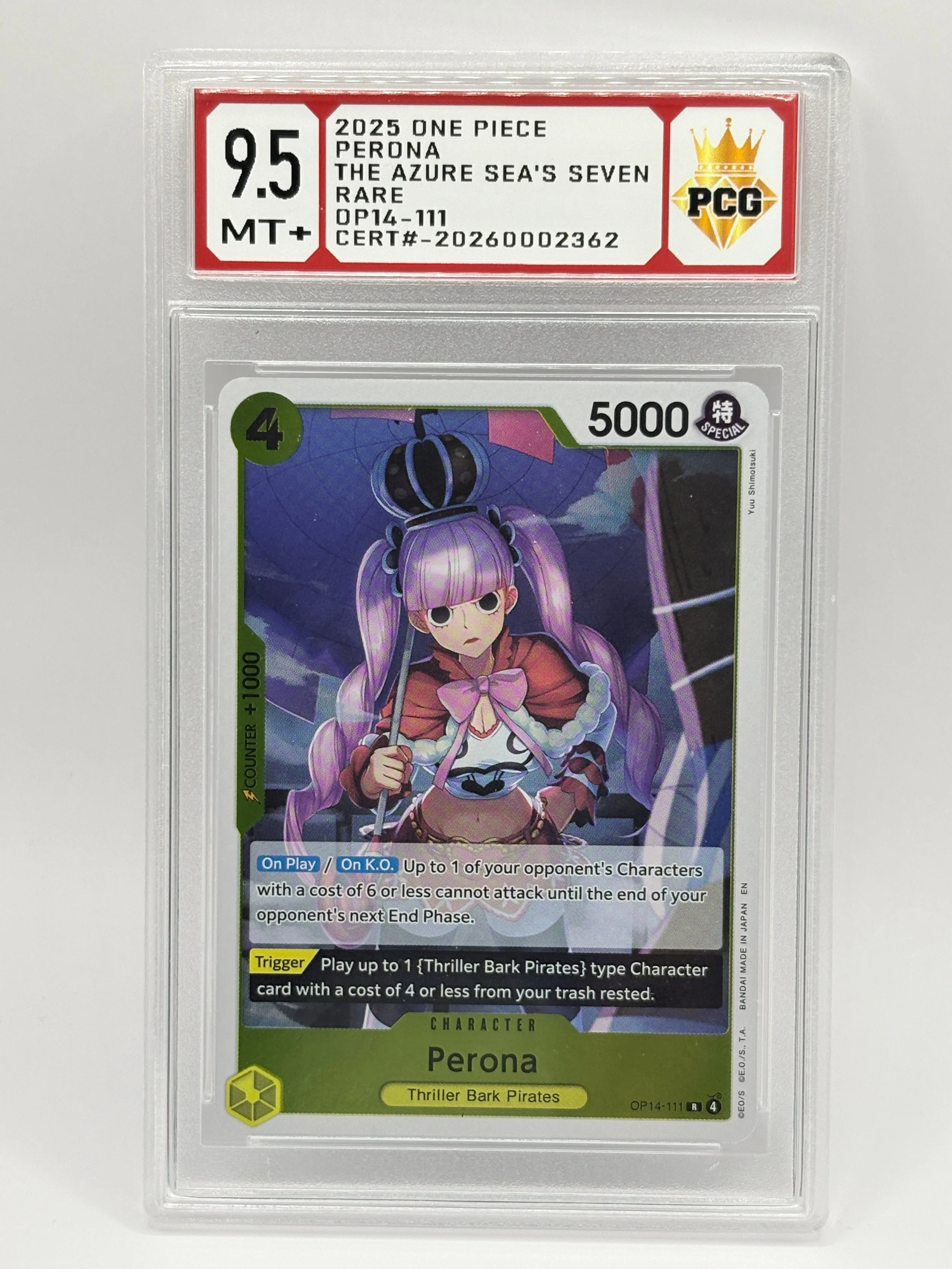 #20260002362 2025 PERONA 9.5 MT+