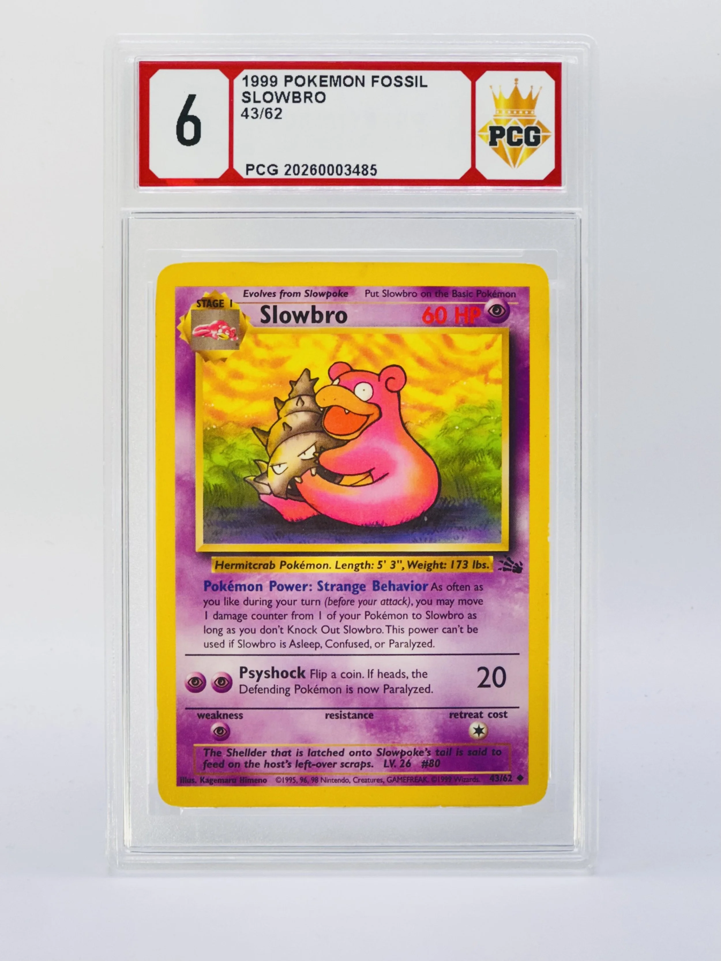 #20260003485 1999 SLOWBRO 6