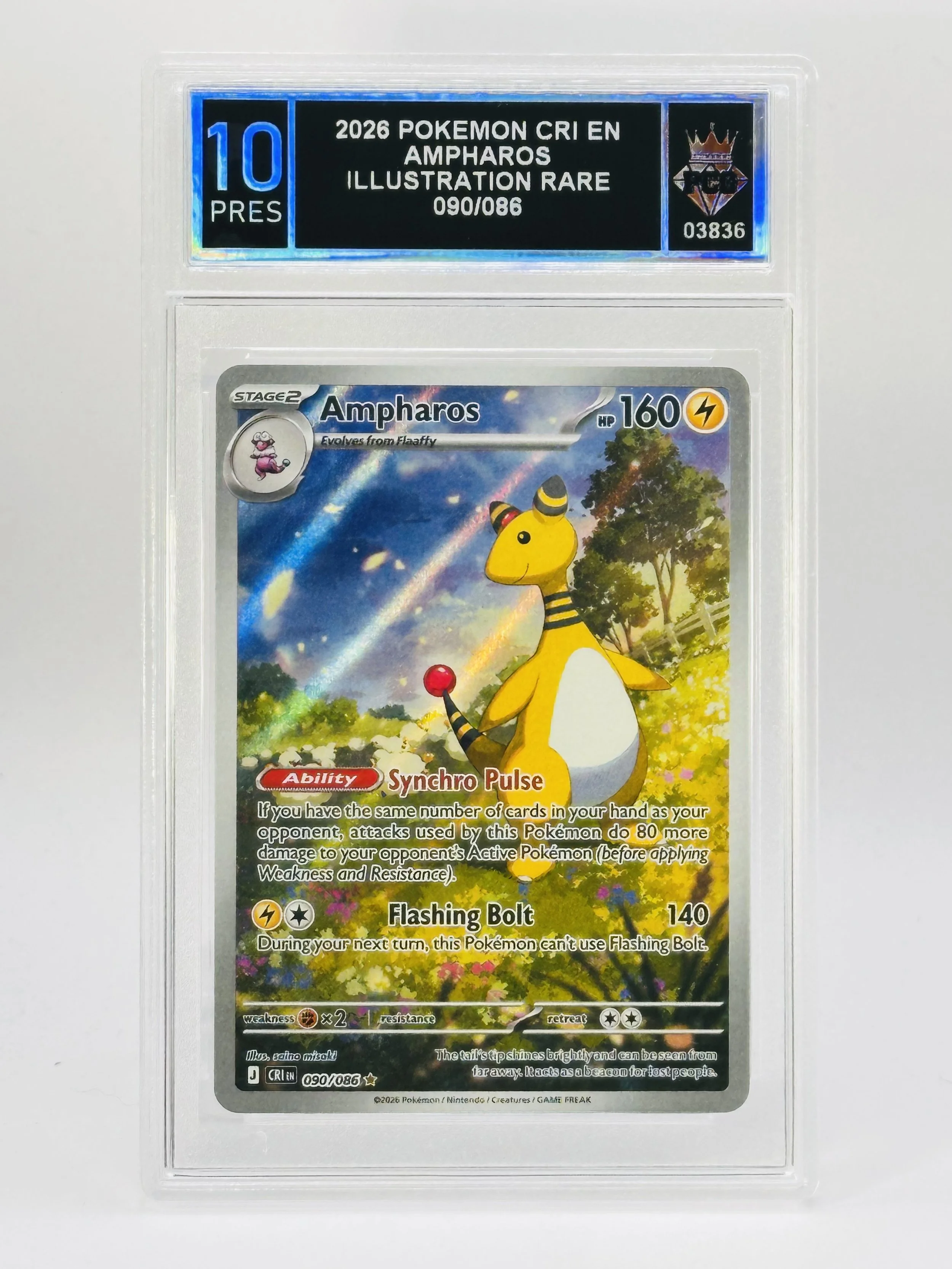 #20260003836 2026 AMPHAROS 10 PRESTIGIOUS