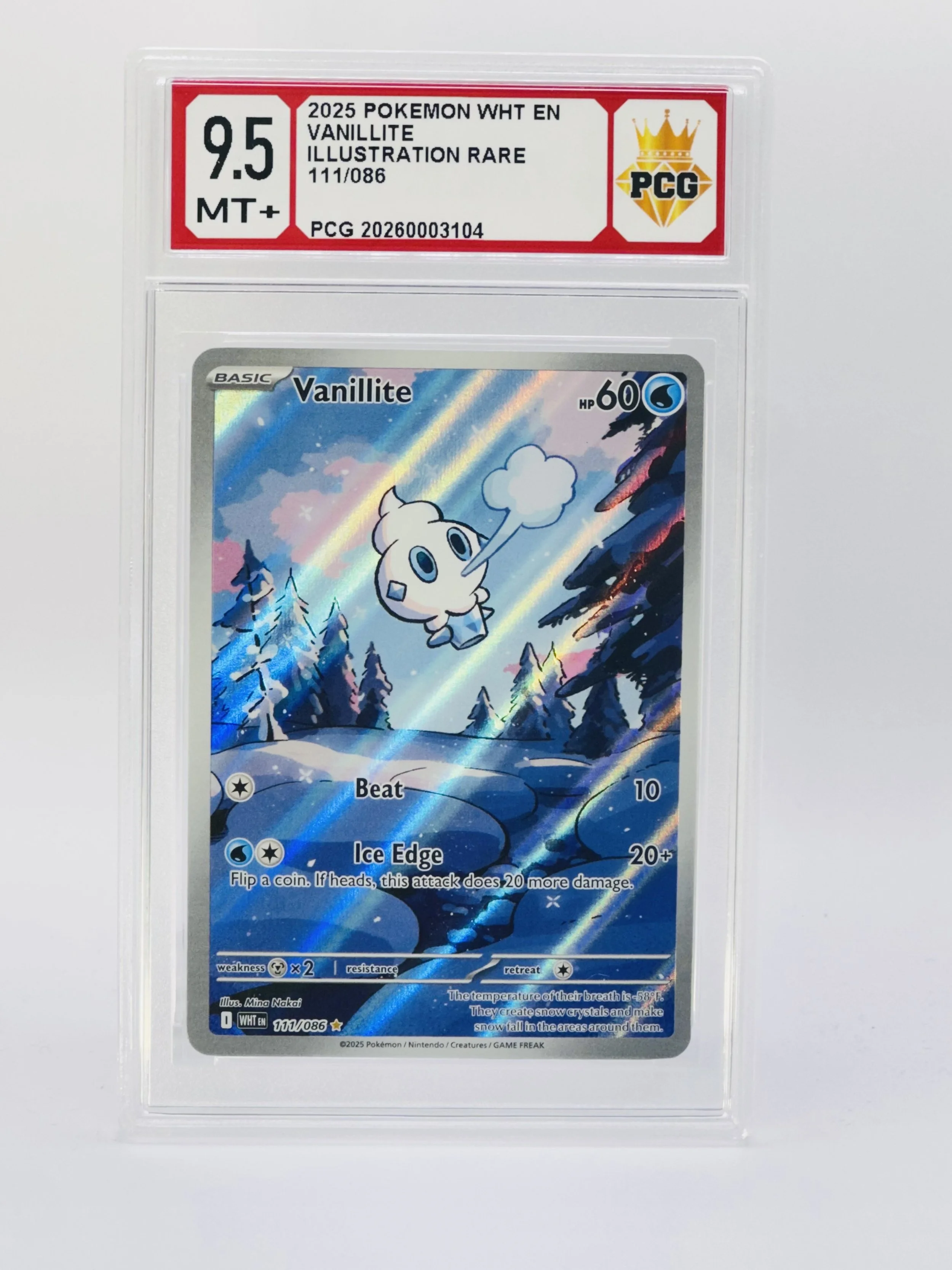 #20260003104 2025 VANILLITE 9.5 MT+