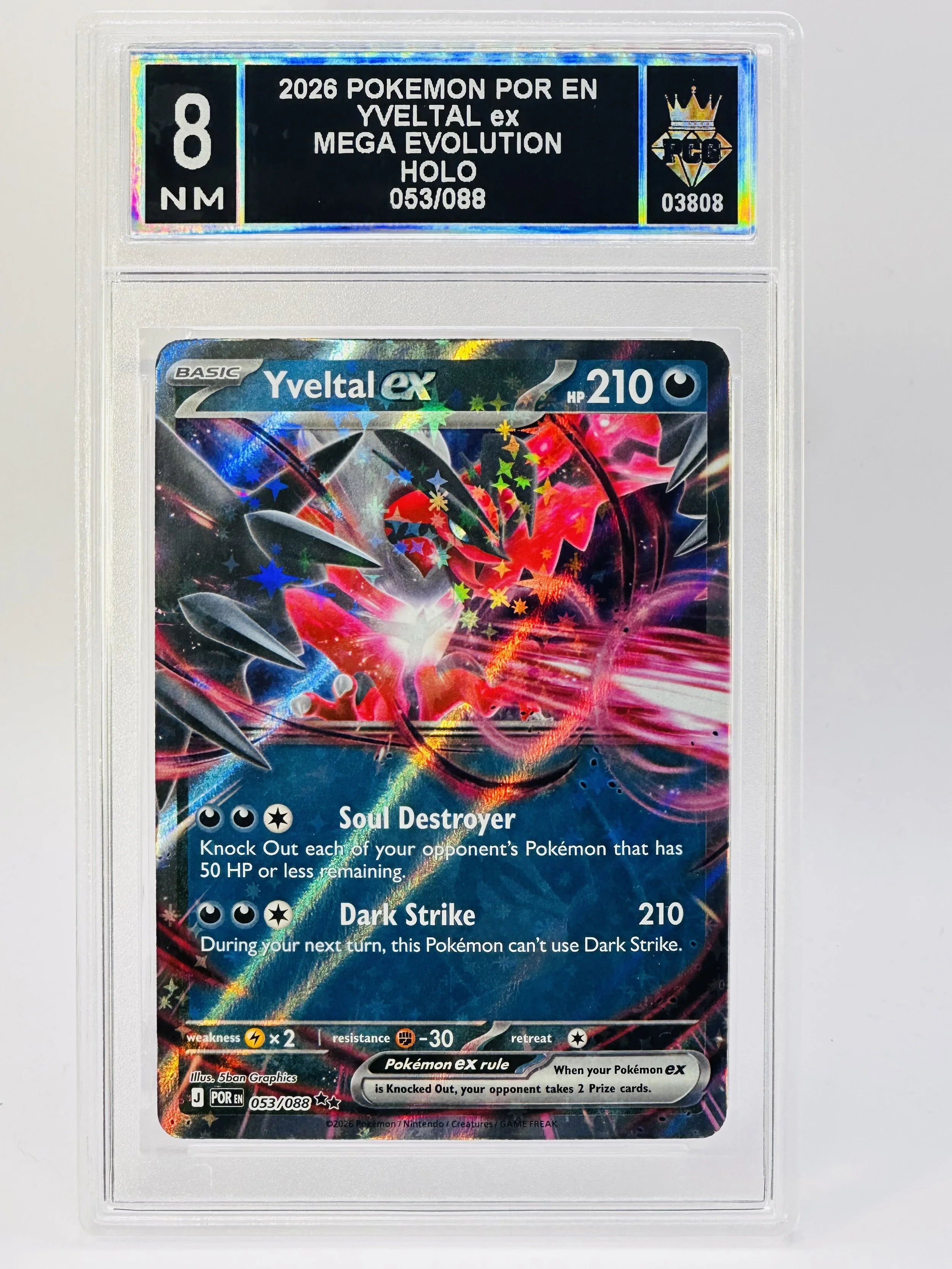 #20260003808 2026 YVELTAL EX 8 NM