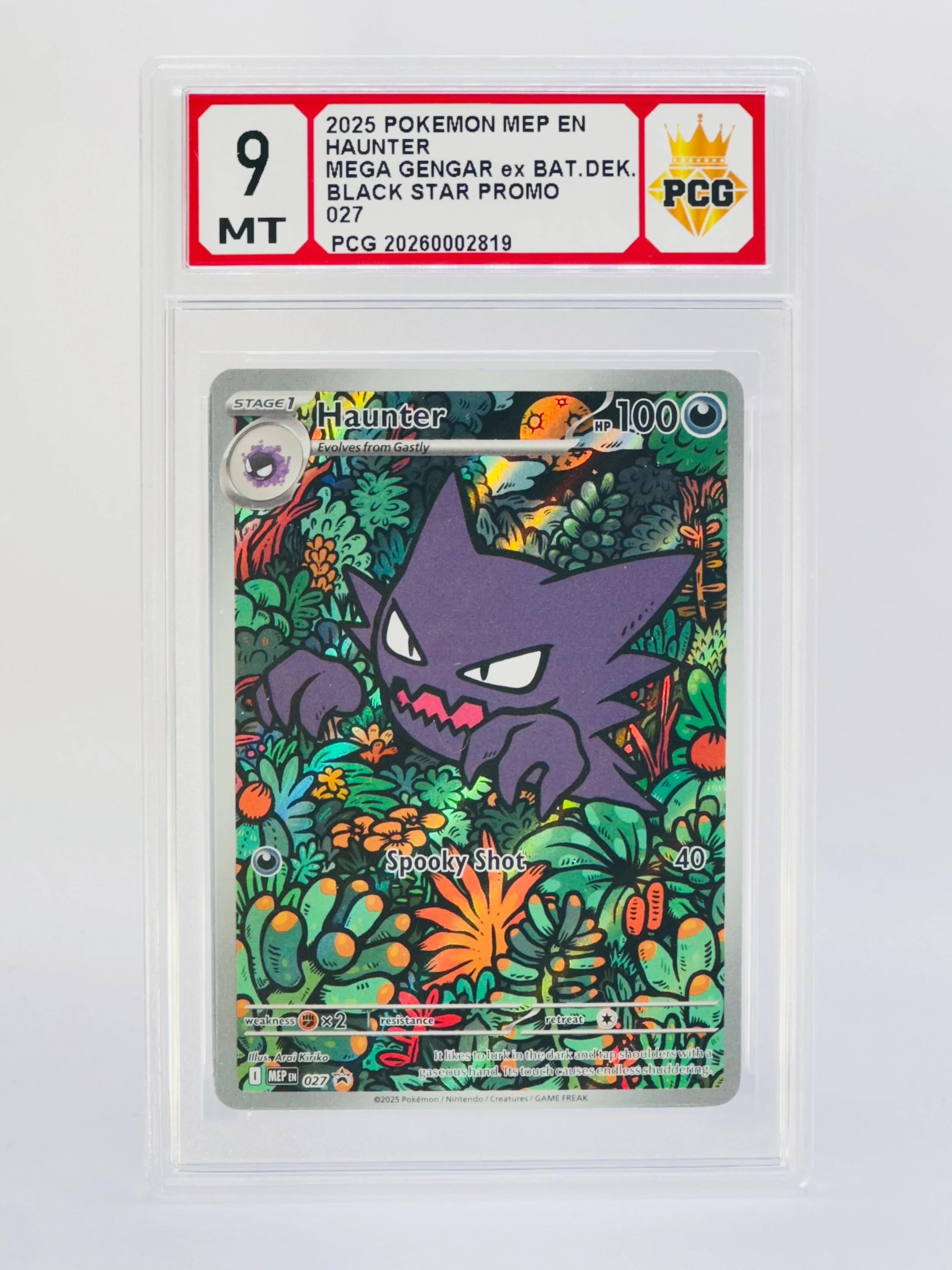 #20260002819 2025 HAUNTER 9 MT