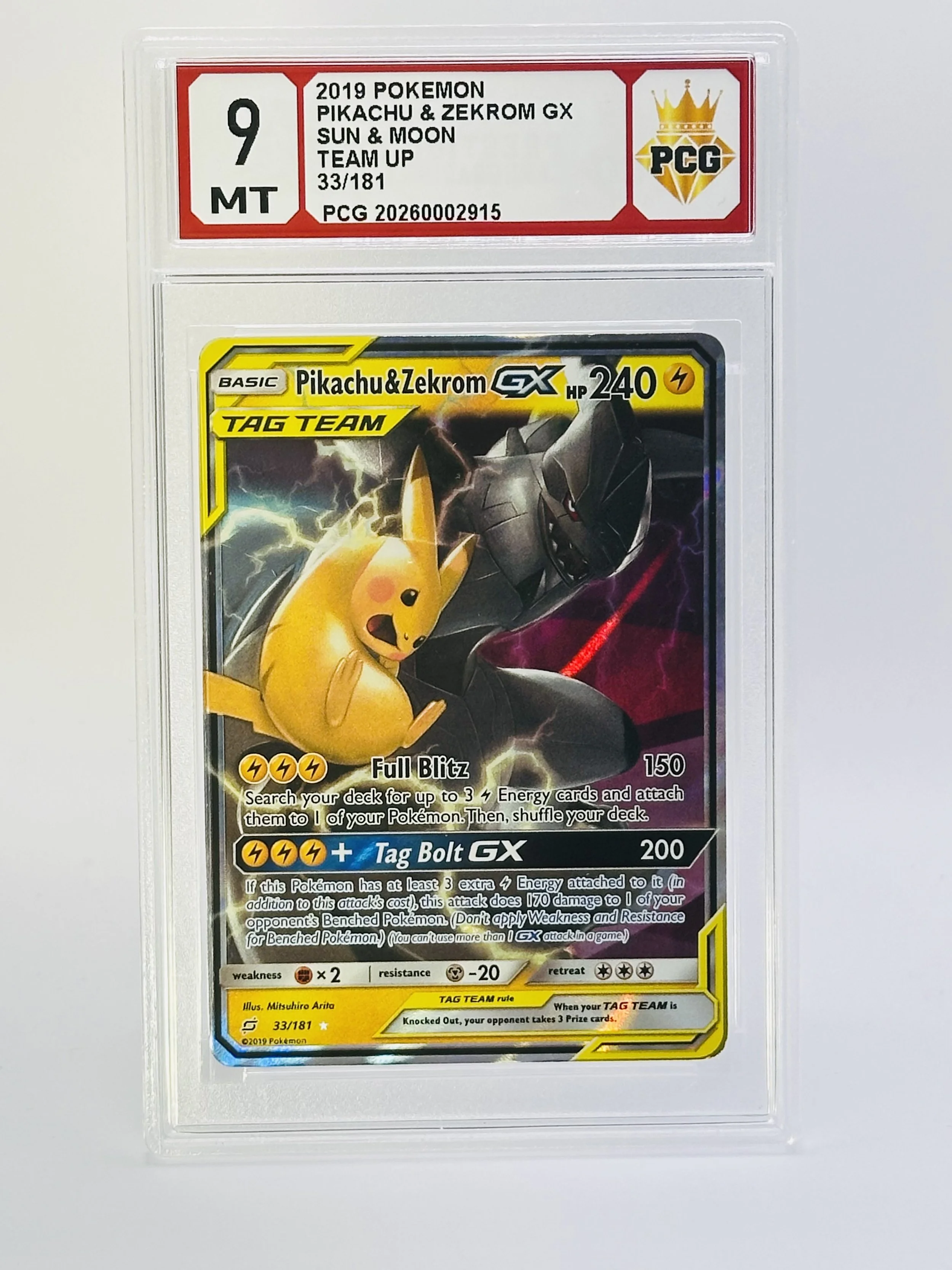 #20260002915 2019 PIKACHU  9 MT