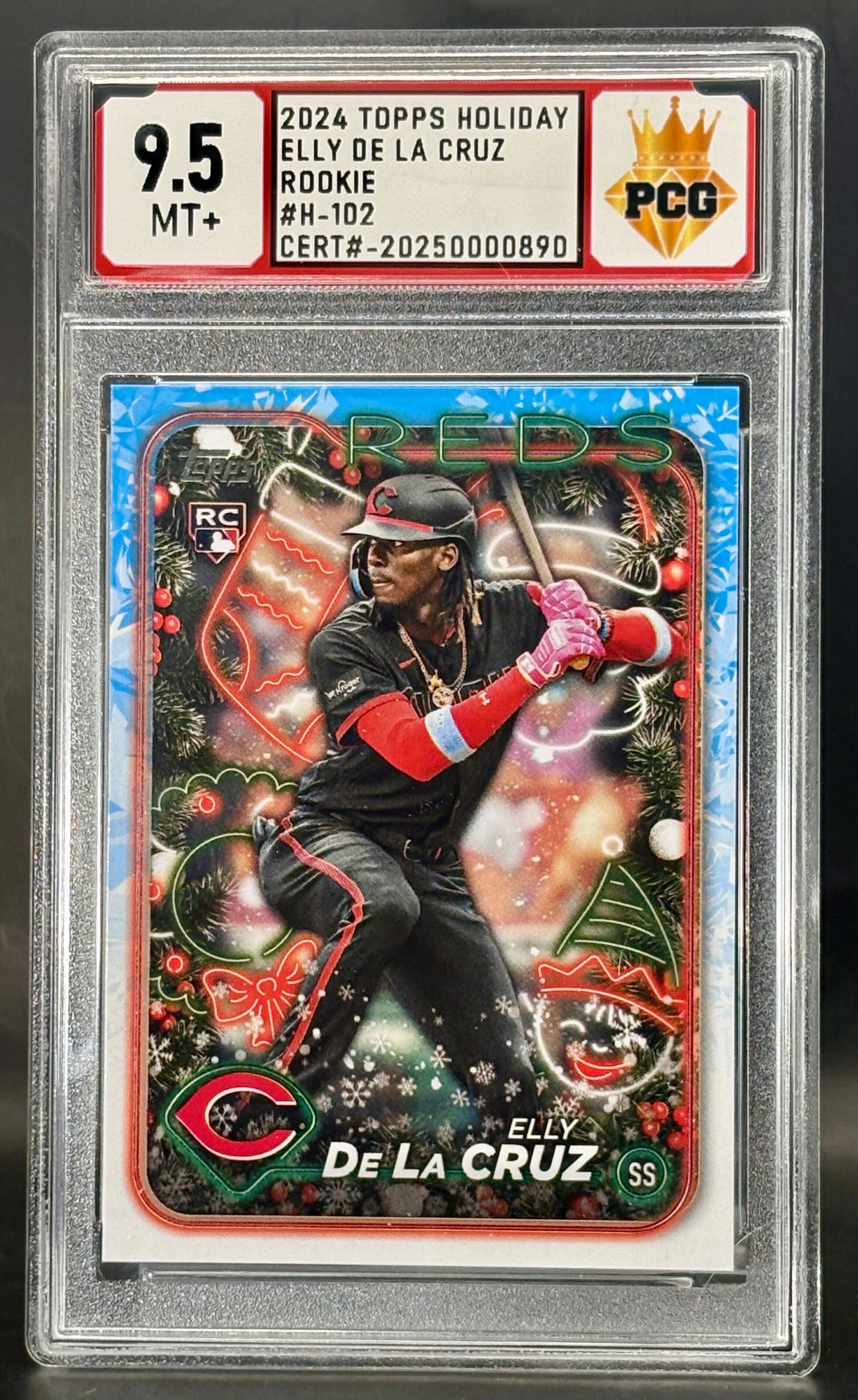 #20250000890 2024 ELLY DE LA CRUZ RC 9.5 MT+